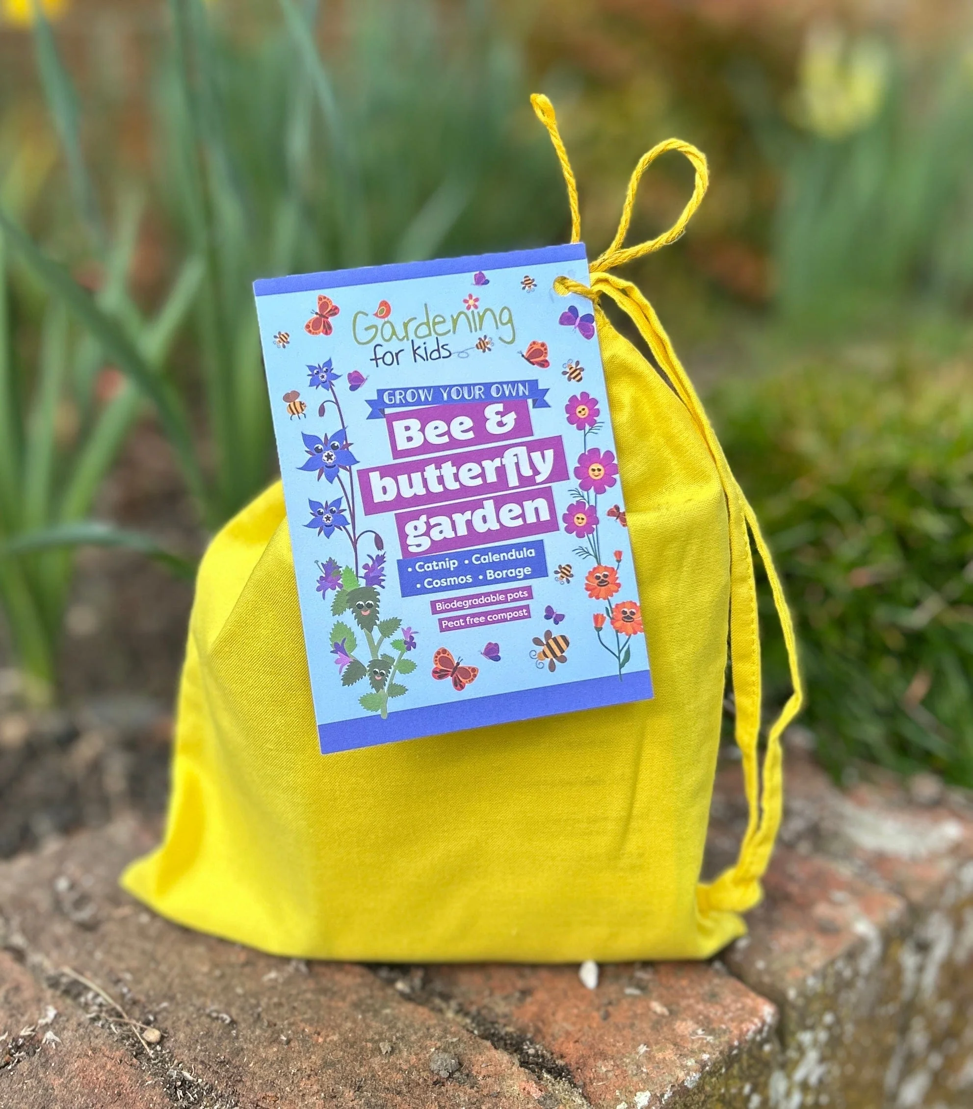 Bee and Butterfly Flower Garden Gift Bag