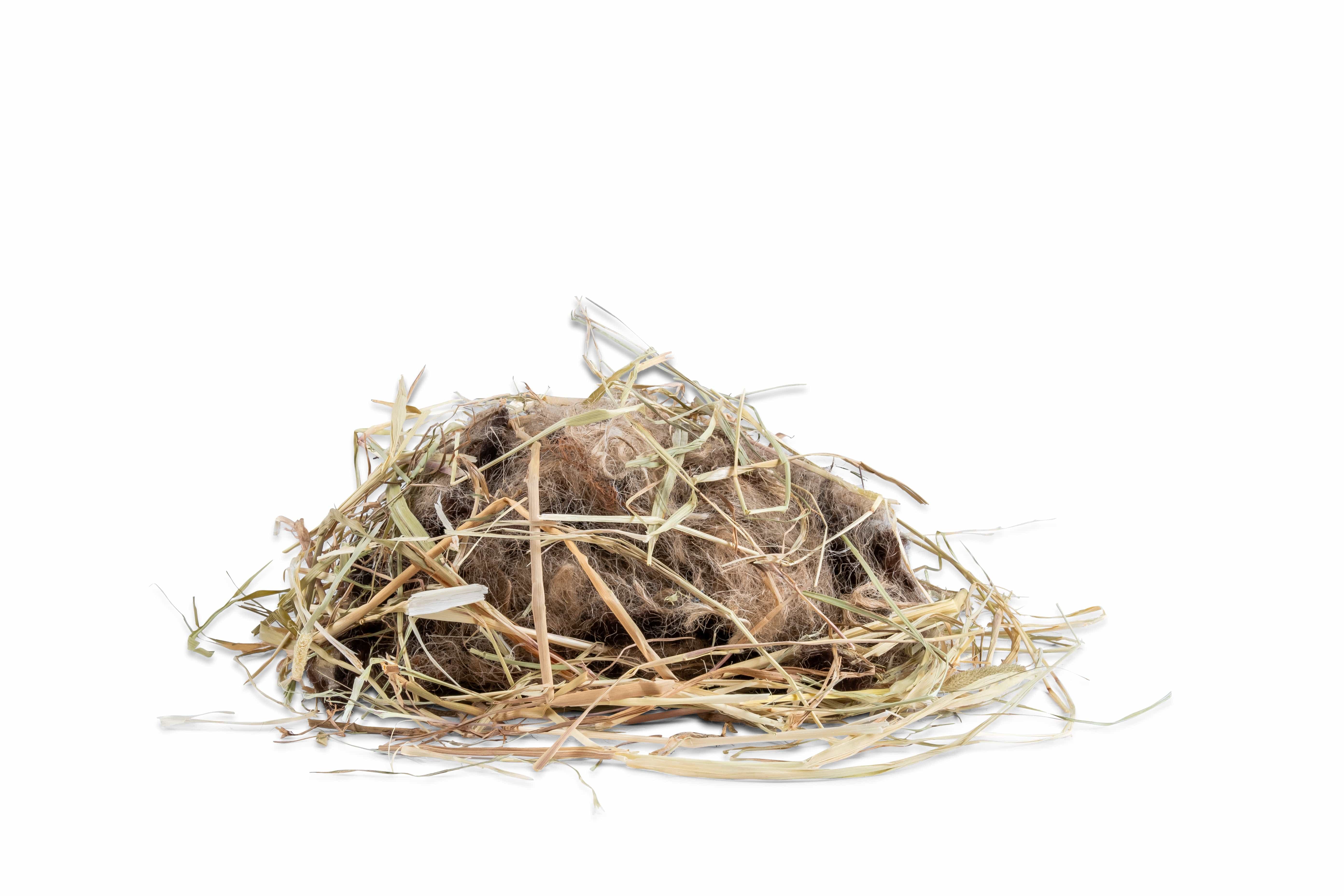 Children's Bird Nesting Wool and Fat Ball Dispenser Gift Set - Image 3