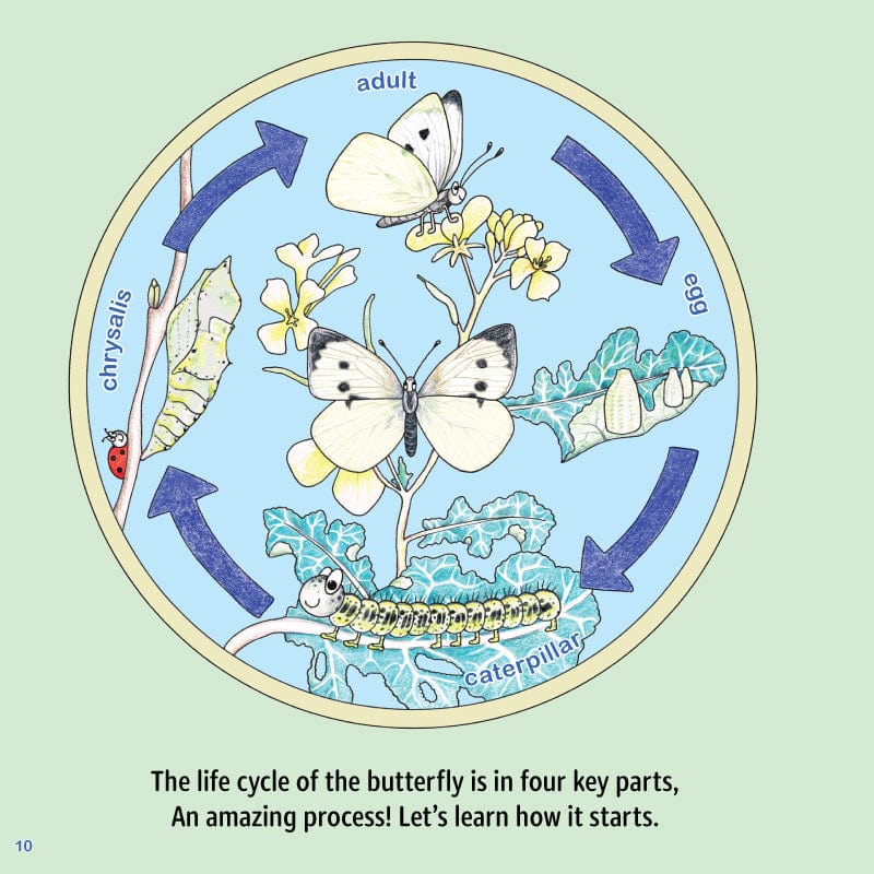 Butterflies - Children's Rhyming Educational Nature Book - Image 3