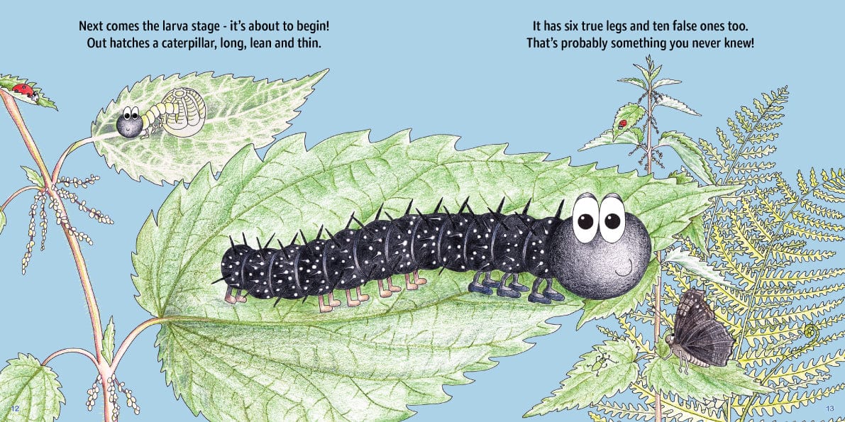 Butterflies - Children's Rhyming Educational Nature Book - Image 4