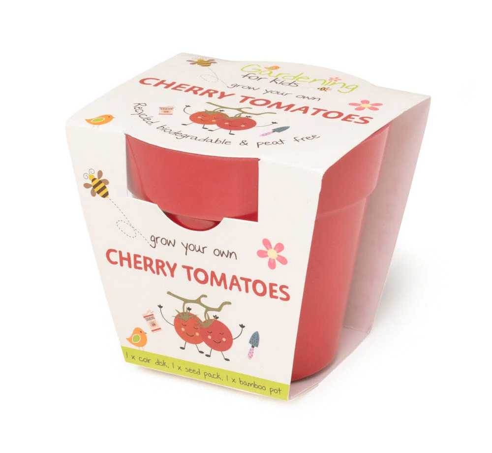 Cherry Tomato Growing Kit with Pot - Image 2
