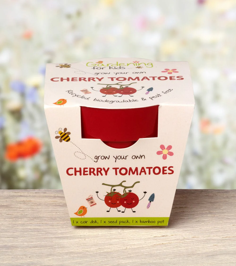 Cherry Tomato Growing Kit with Pot - Image 4