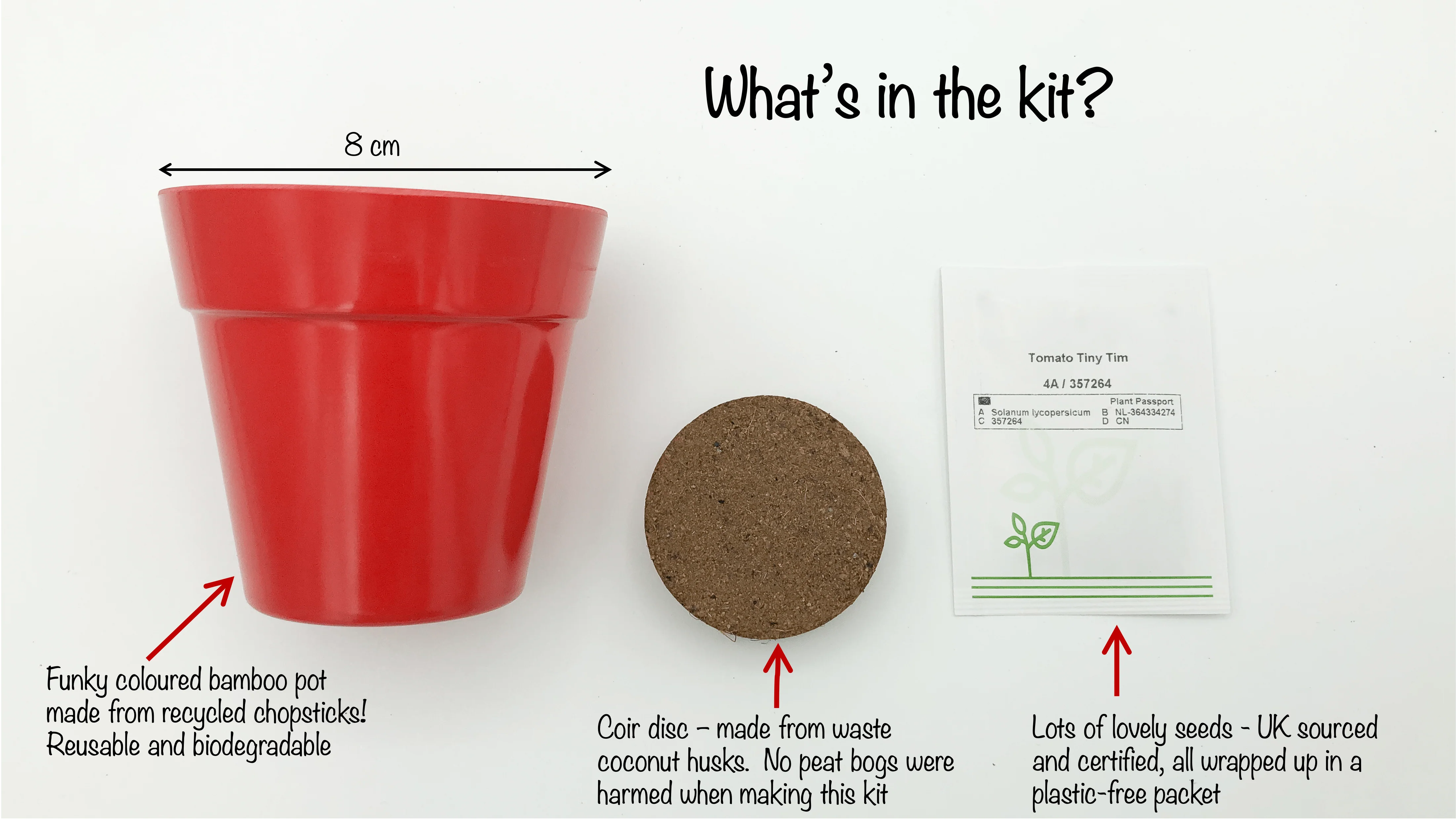 Cherry Tomato Growing Kit with Pot - Image 5