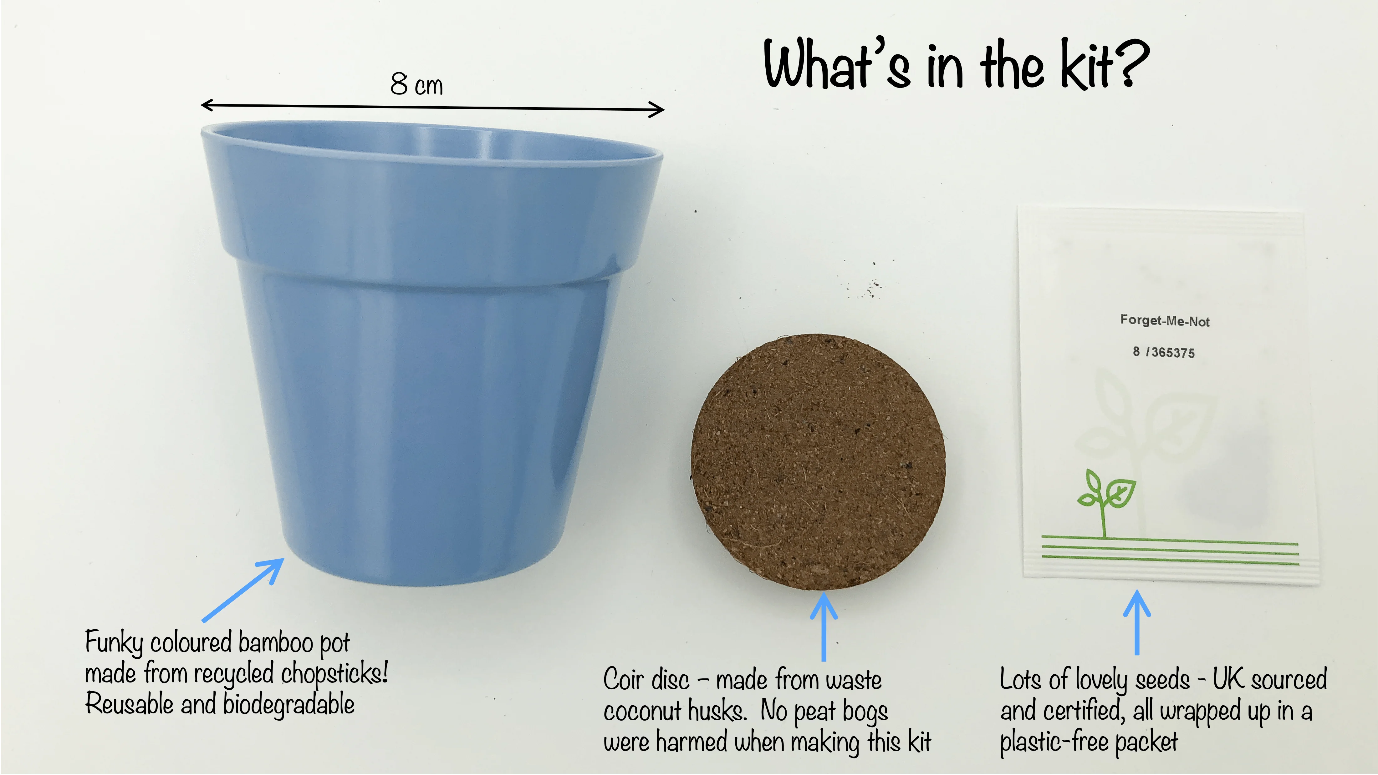 Children's Forget-me-nots Growing Kit with pot - Image 5