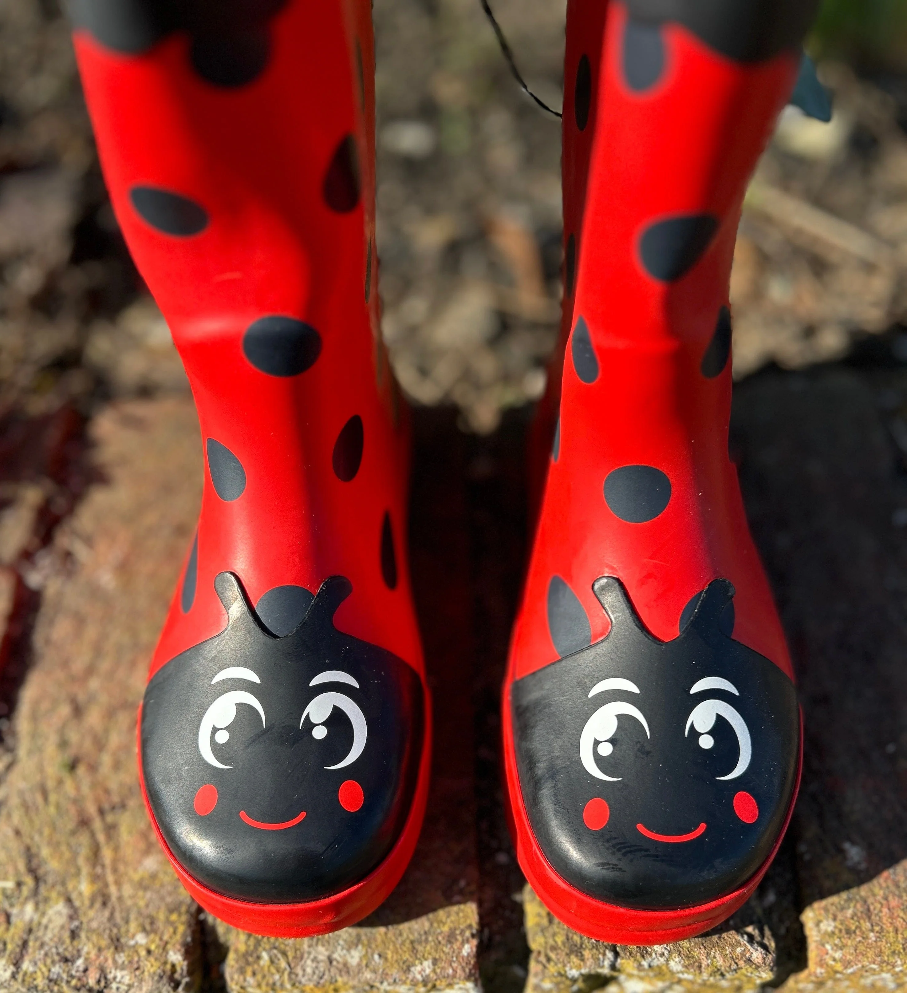 Children's Ladybird Character Wellies - Image 3