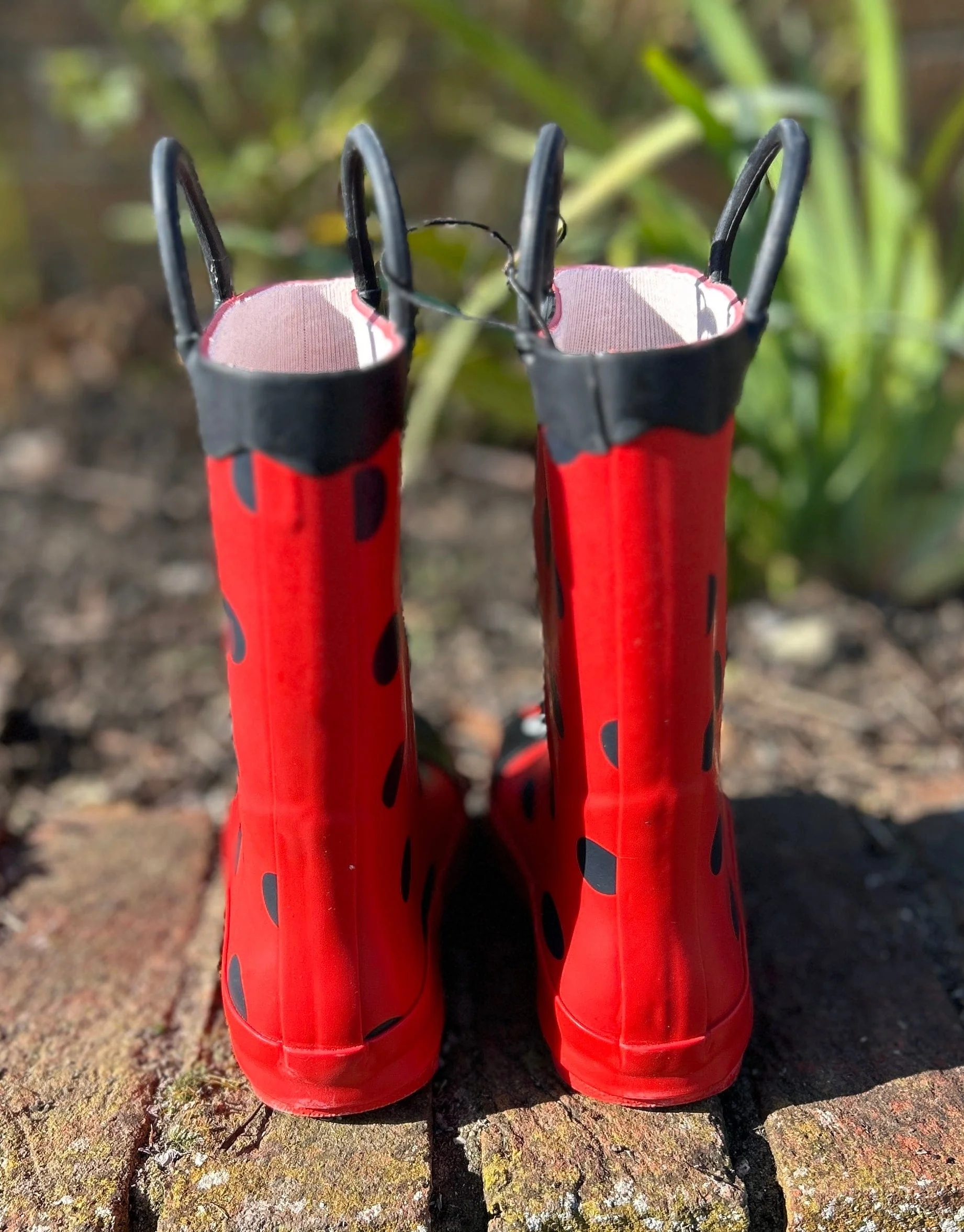 Children's Ladybird Character Wellies - Image 5