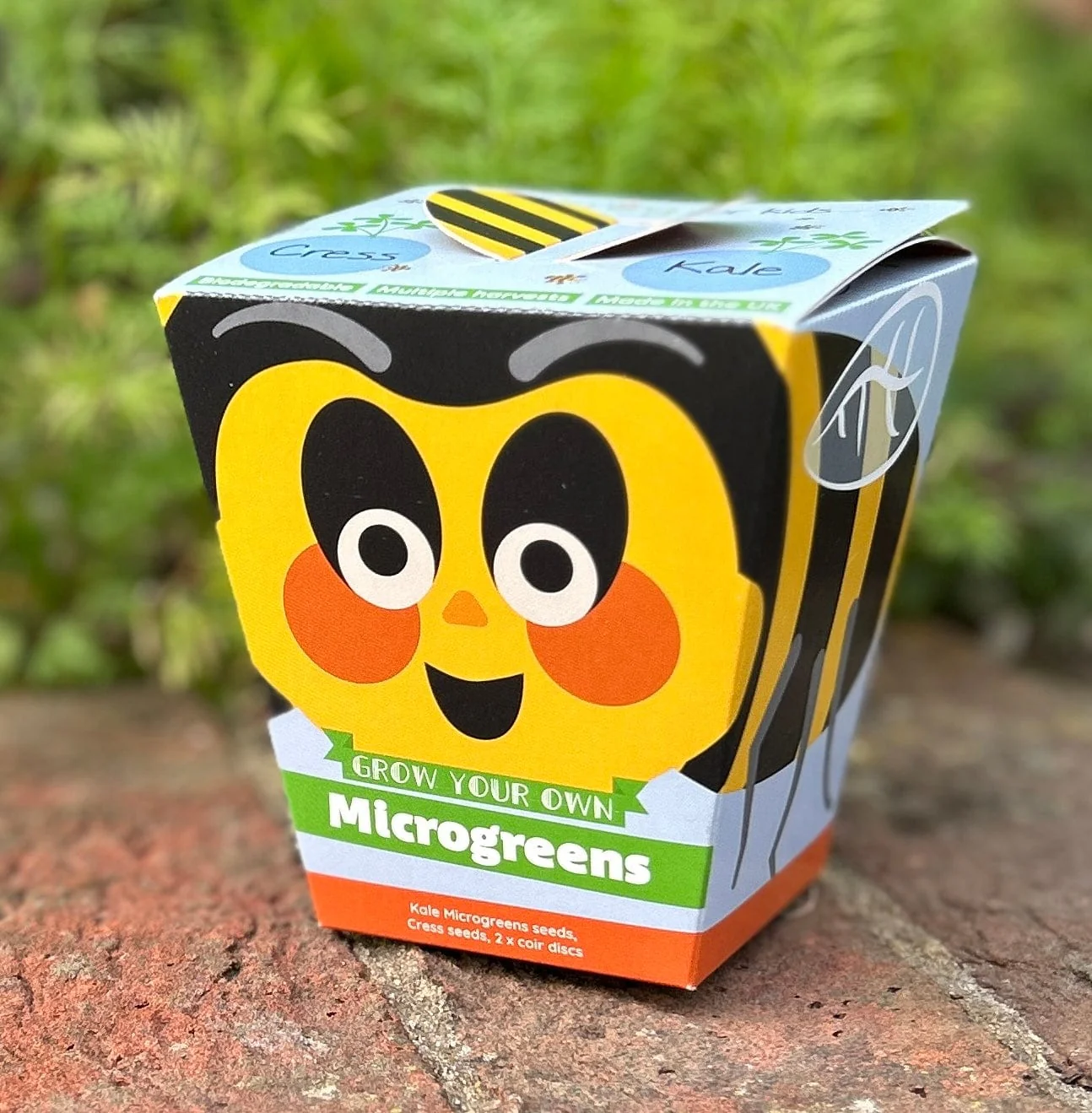 Children's Microgreens & Cress Head Growing Kit - Kale - Image 3