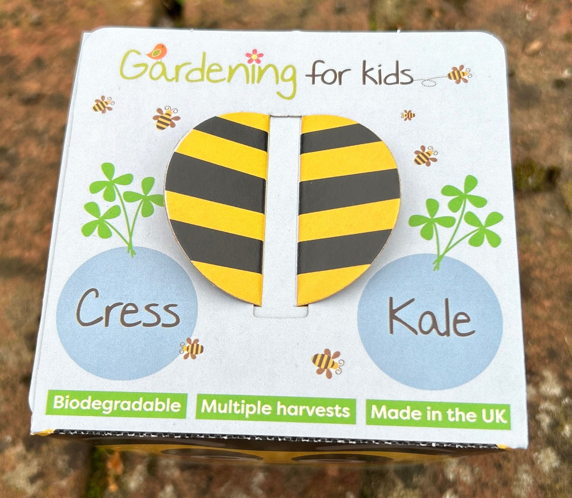 Children's Microgreens & Cress Head Growing Kit - Kale - Image 4