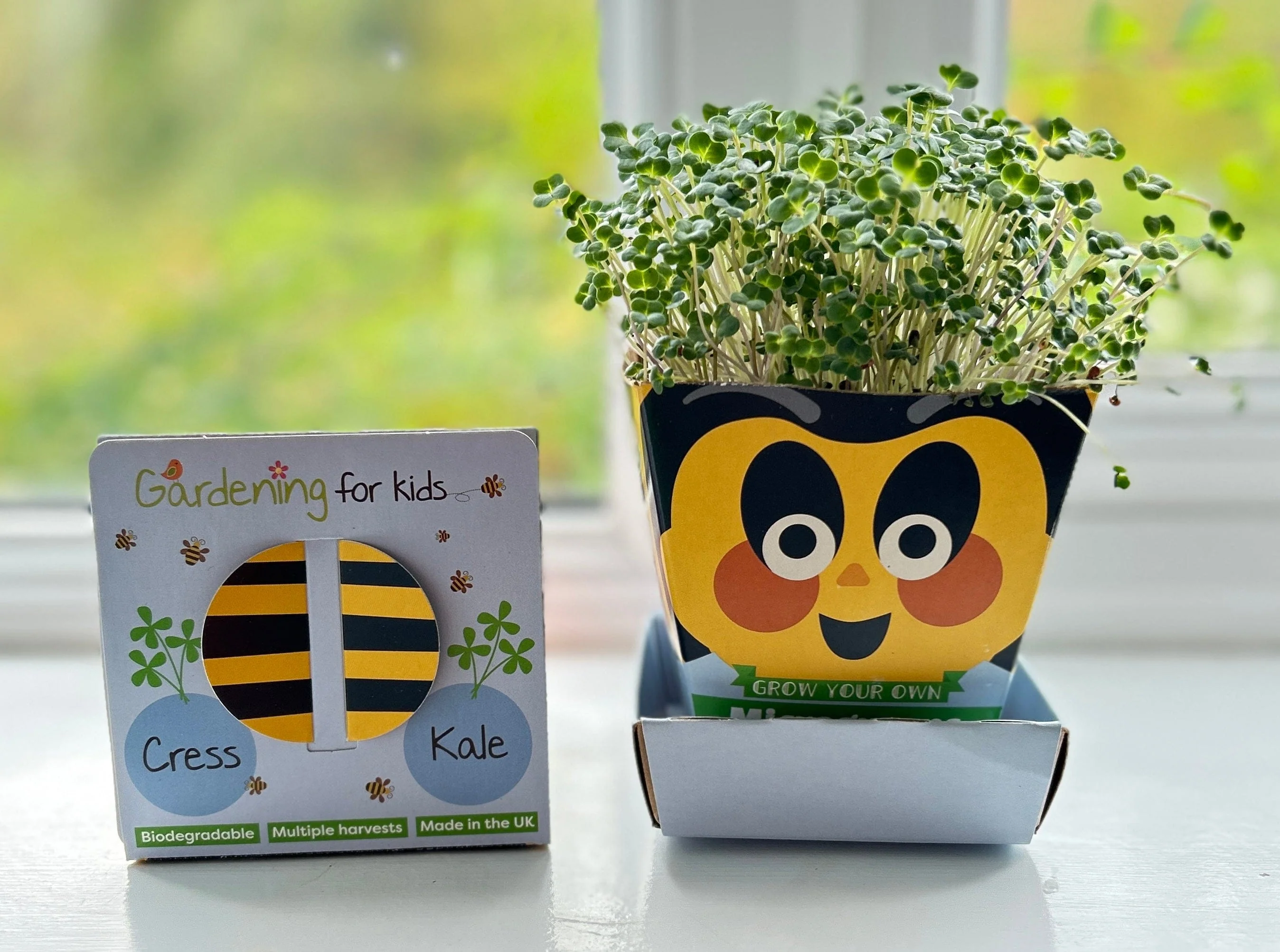 Children's Microgreens & Cress Head Growing Kit - Kale - Image 5