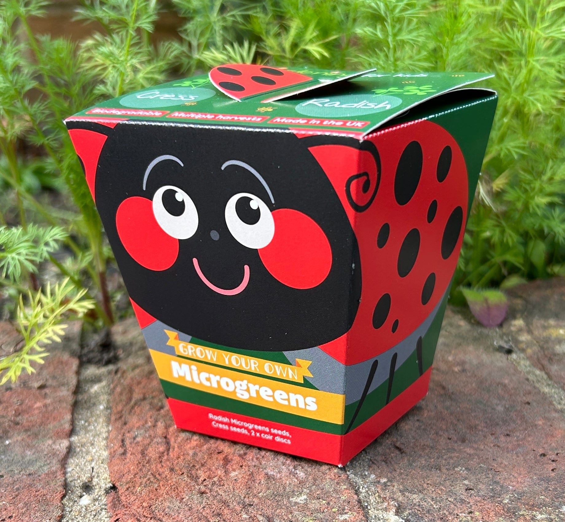 Children's Microgreens & Cress Head Growing Kit - Radish - Image 5
