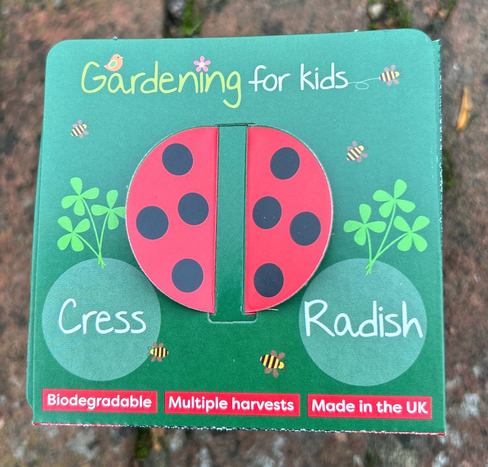 Children's Microgreens & Cress Head Growing Kit - Radish - Image 6
