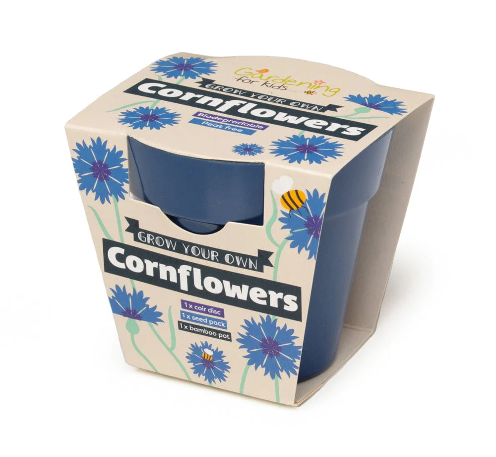 Cornflower Wildflower Growing Kit with Pot - Image 2
