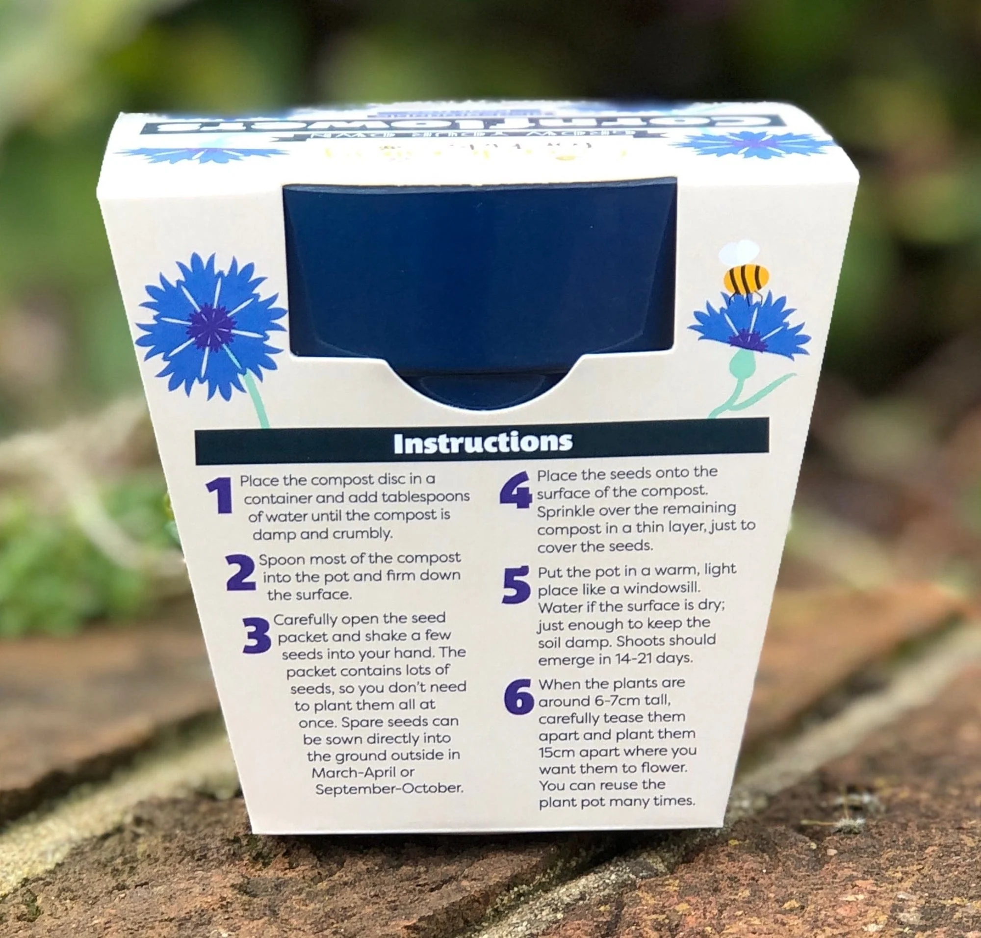 Cornflower Wildflower Growing Kit with Pot - Image 3