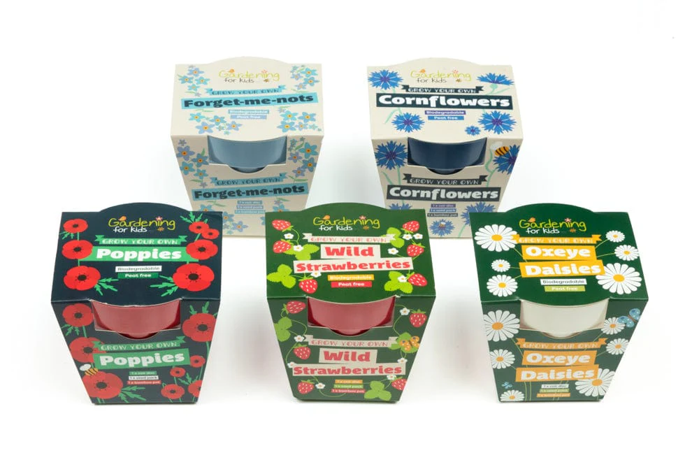 Cornflower Wildflower Growing Kit with Pot - Image 9
