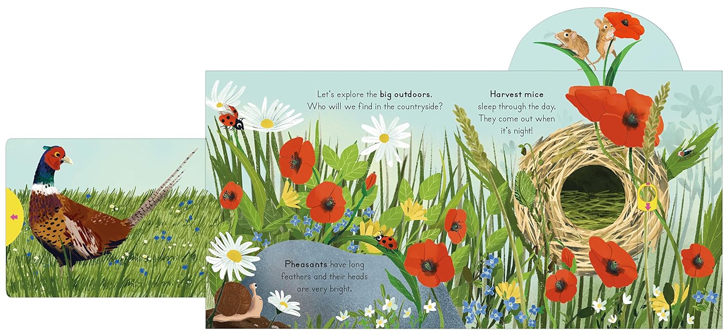 Countryside - Outdoor Children's Nature Explorers Book - Image 3
