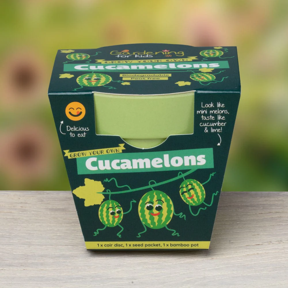 Cucamelon Growing Kit with Pot - Image 3