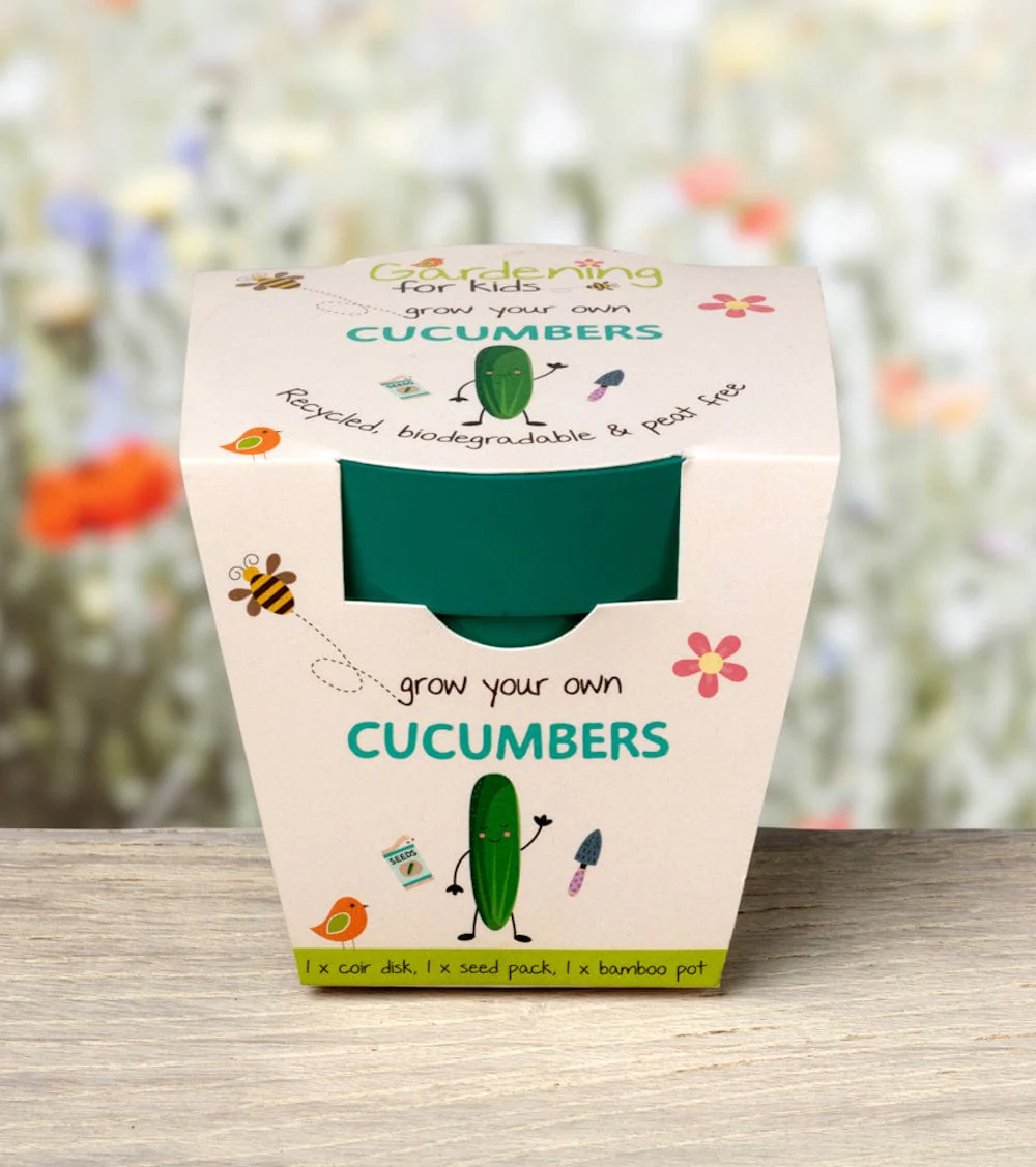 Cucumber Growing Kit with Pot - Image 3
