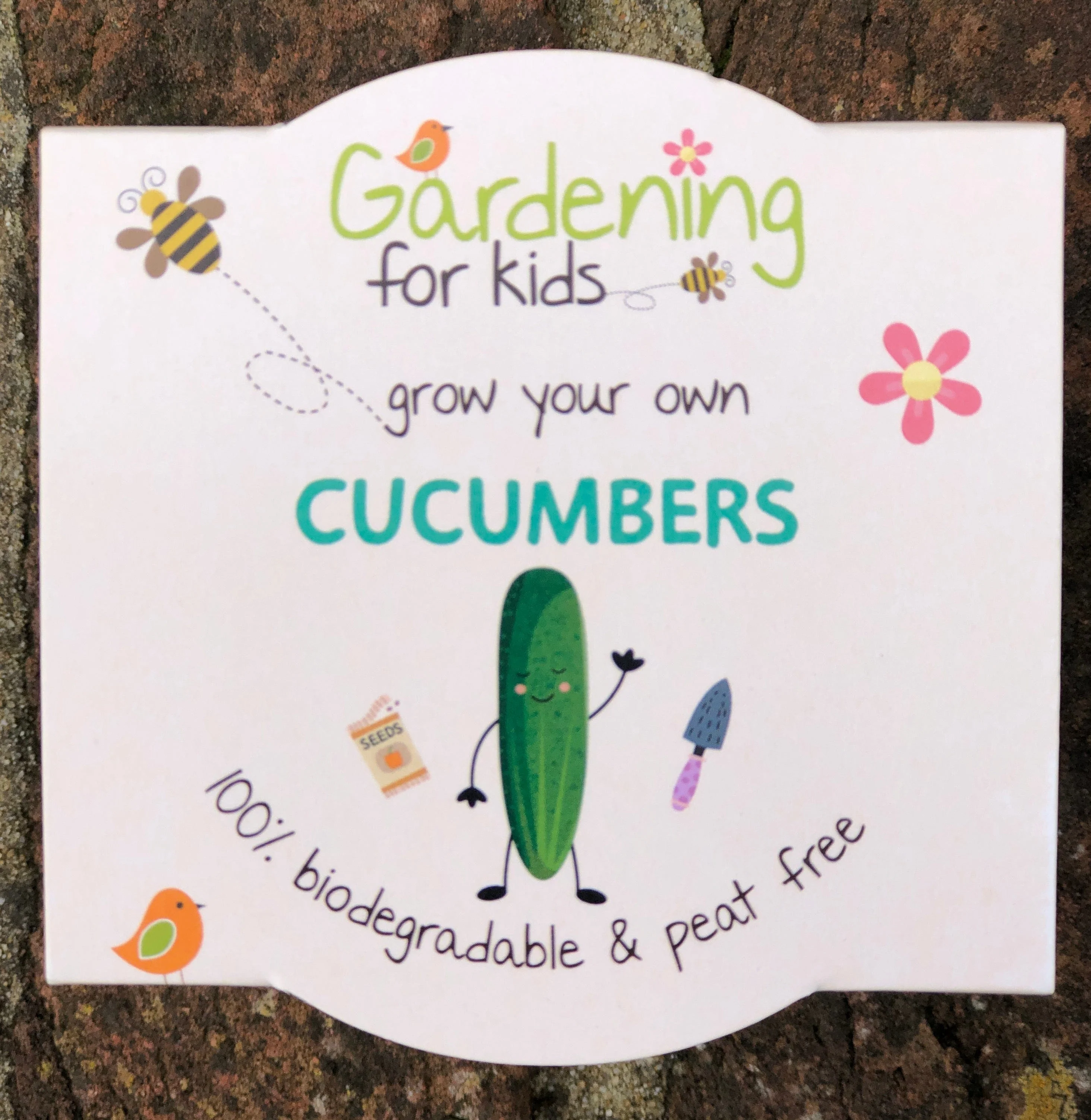 Cucumber Growing Kit with Pot - Image 4