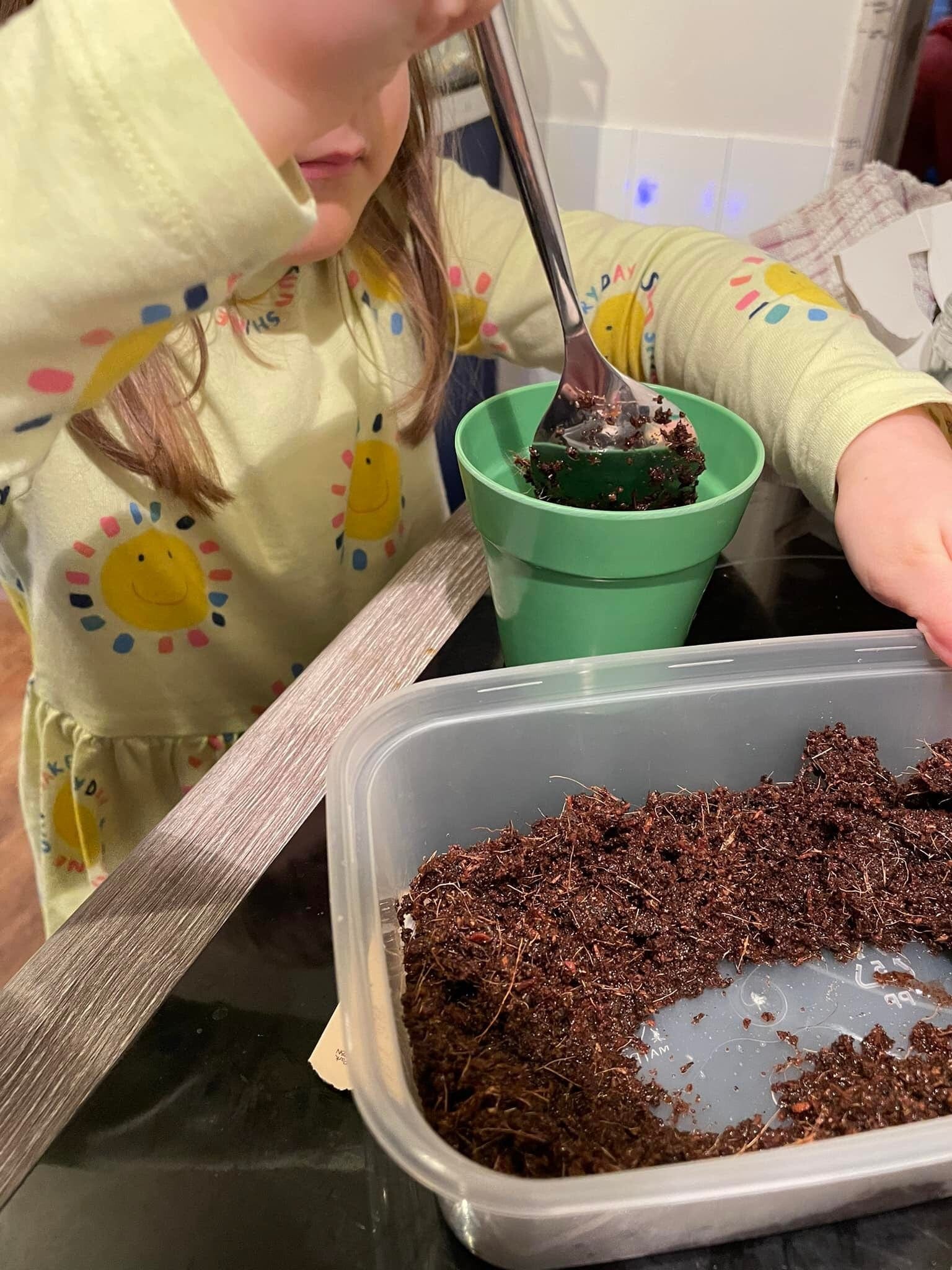 Cucumber Growing Kit with Pot - Image 6