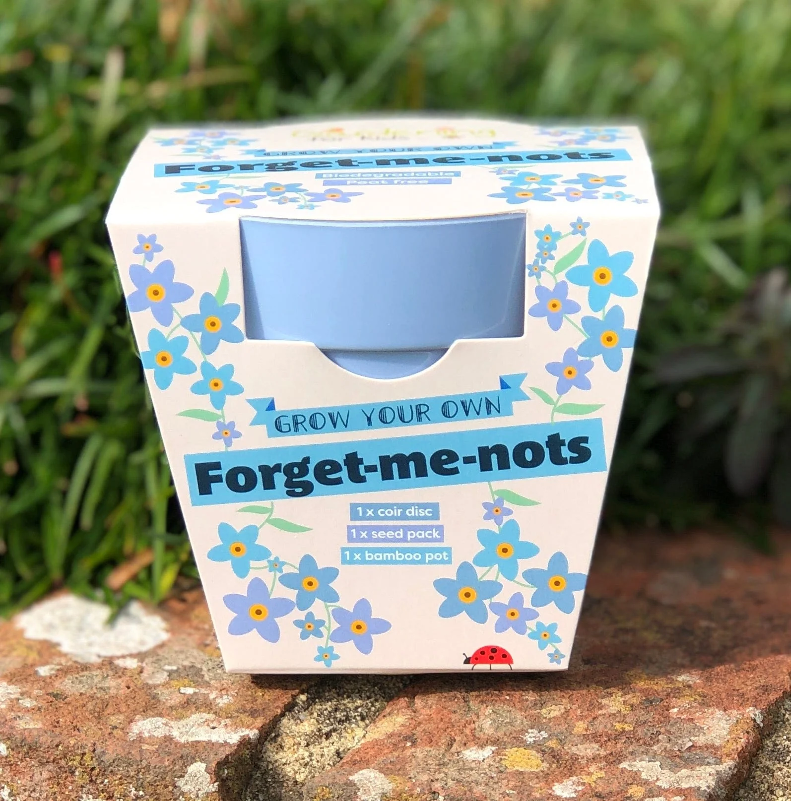 Forget-Me-Not Growing Kit with Pot - Image 3