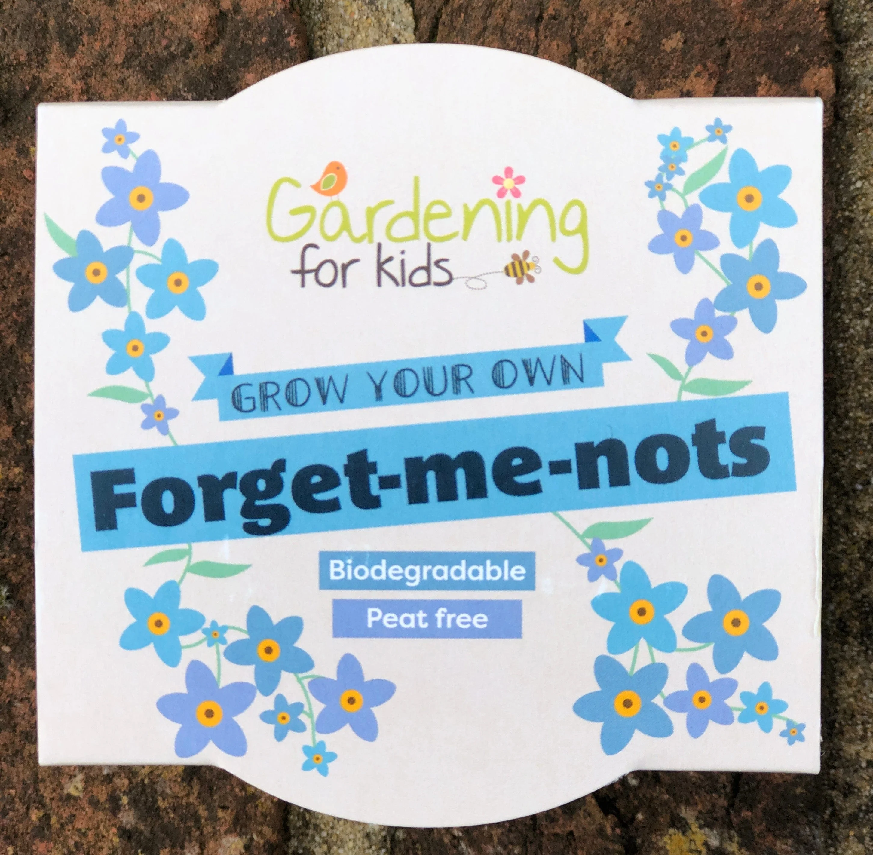 Forget-Me-Not Growing Kit with Pot - Image 4