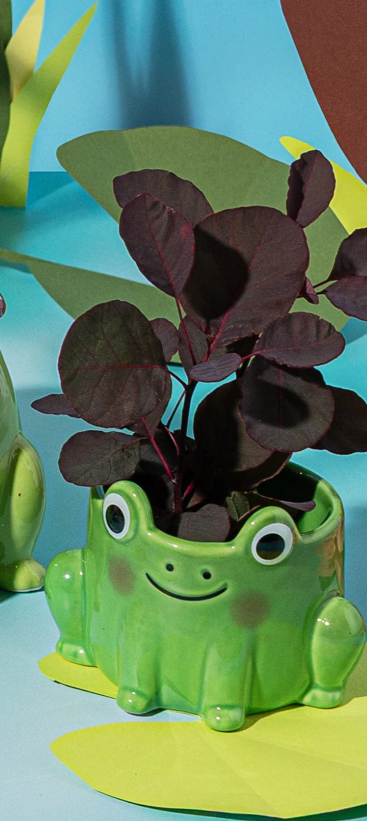 Frog Mini Planter - Image 3