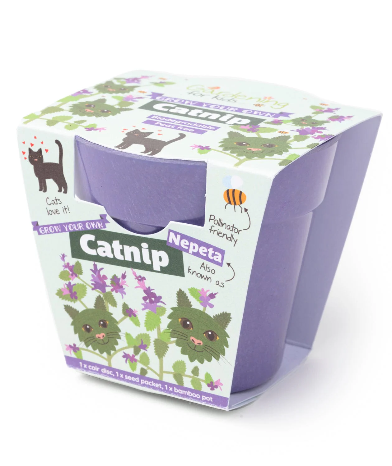 Grow Your Own Catnip Plants Children's Growing Kit with Pot - Image 3
