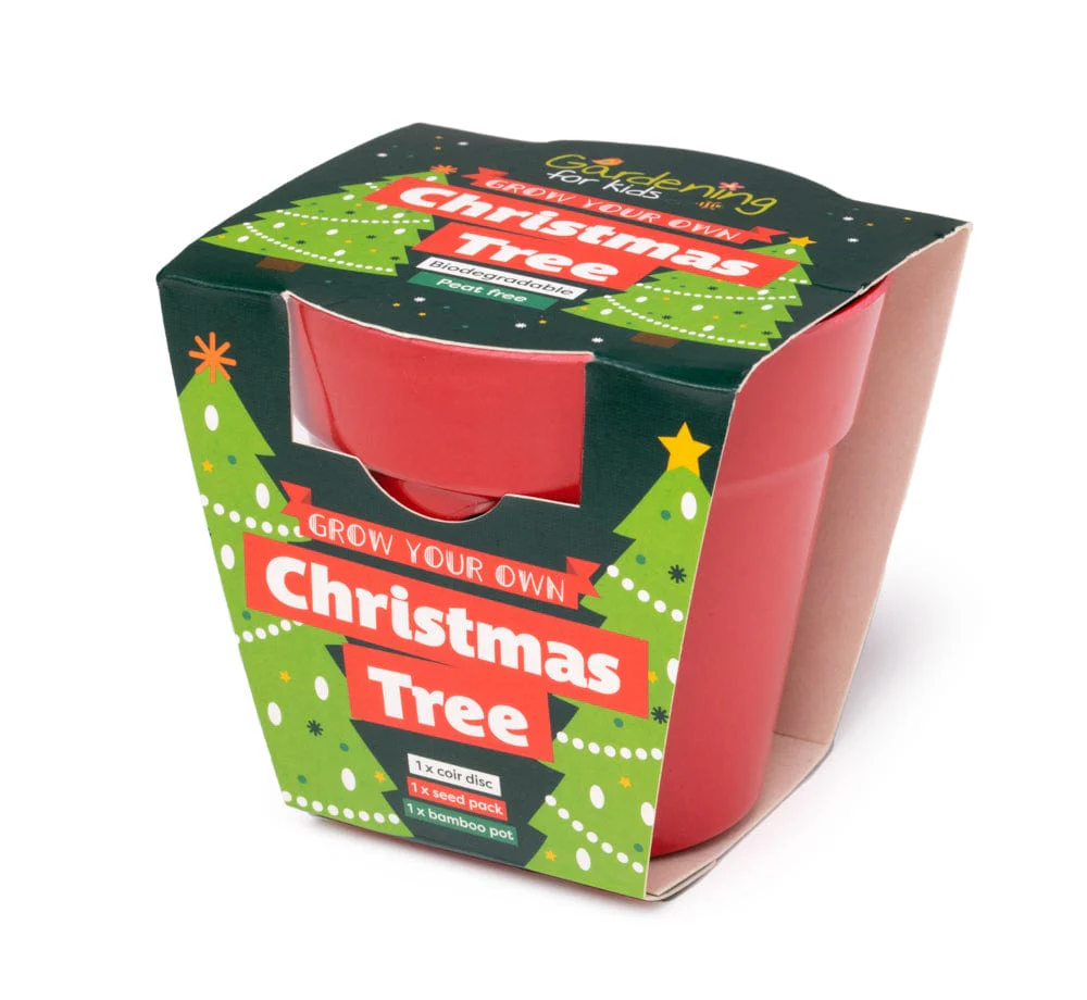 Christmas Tree Growing Kit with Pot - Image 10