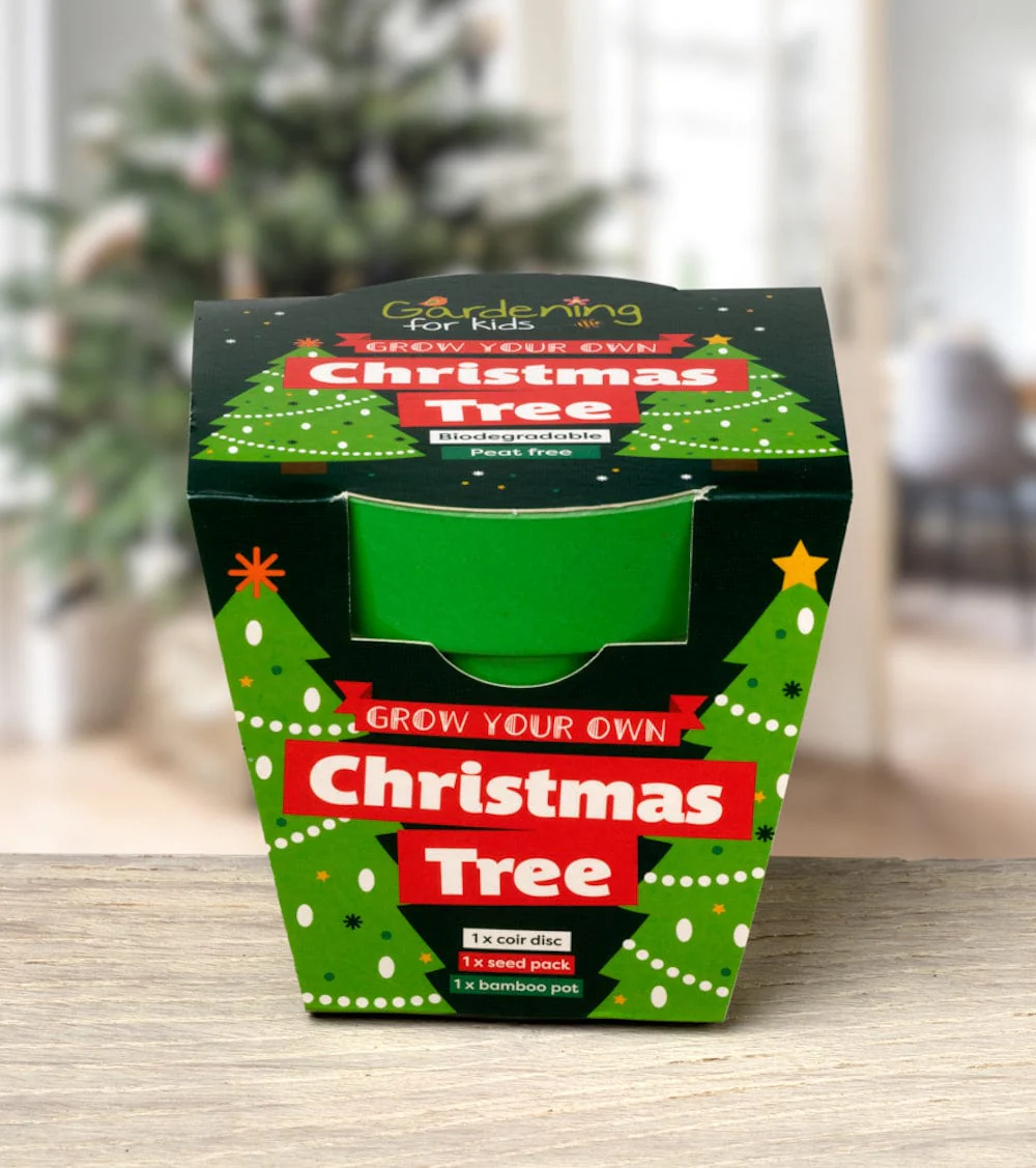 Christmas Tree Growing Kit with Pot - Image 3