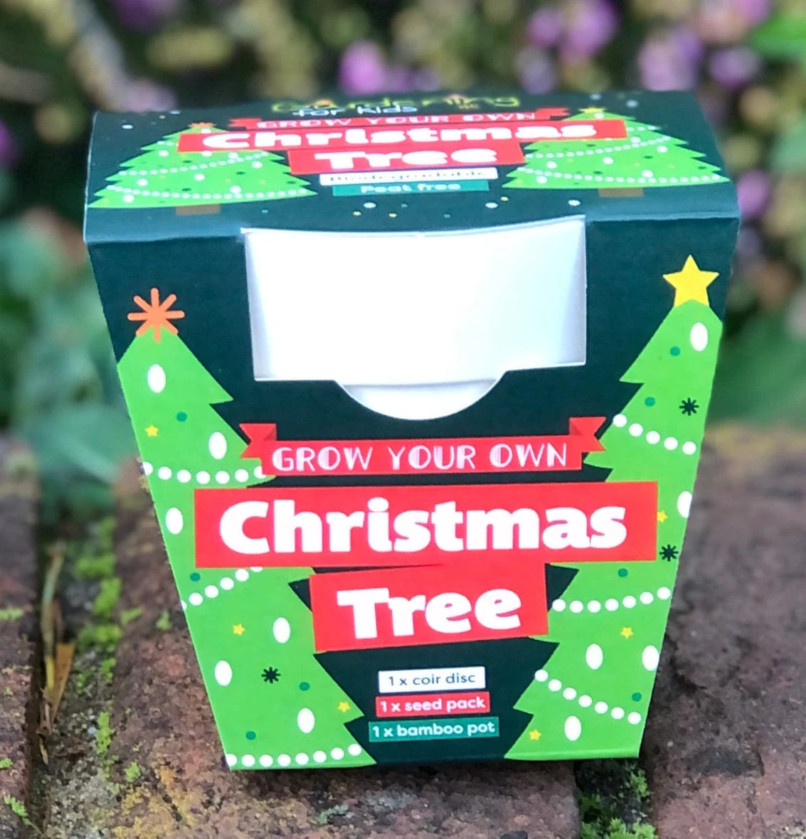 Christmas Tree Growing Kit with Pot - Image 5
