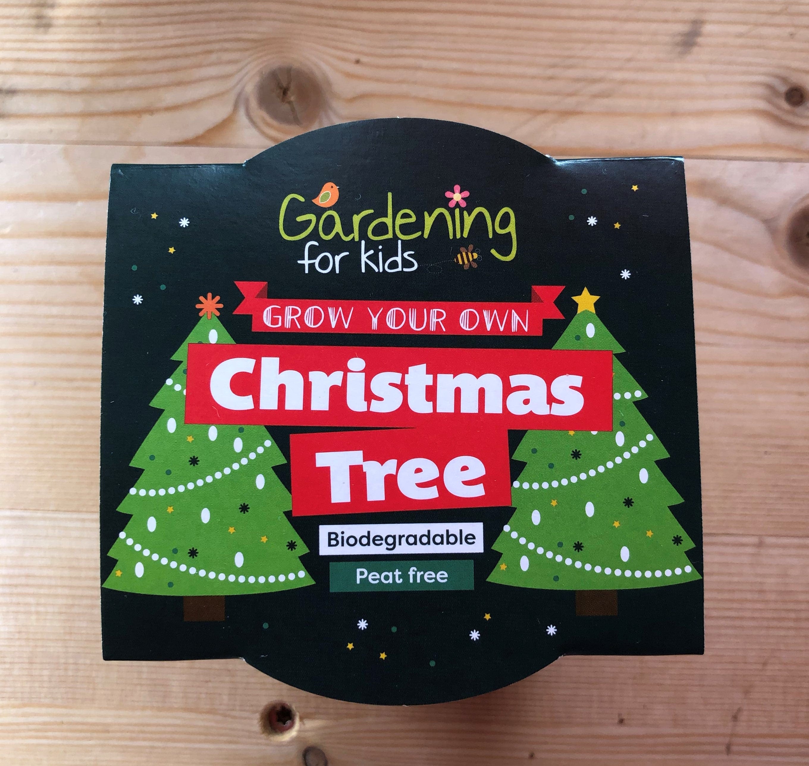 Christmas Tree Growing Kit with Pot - Image 6