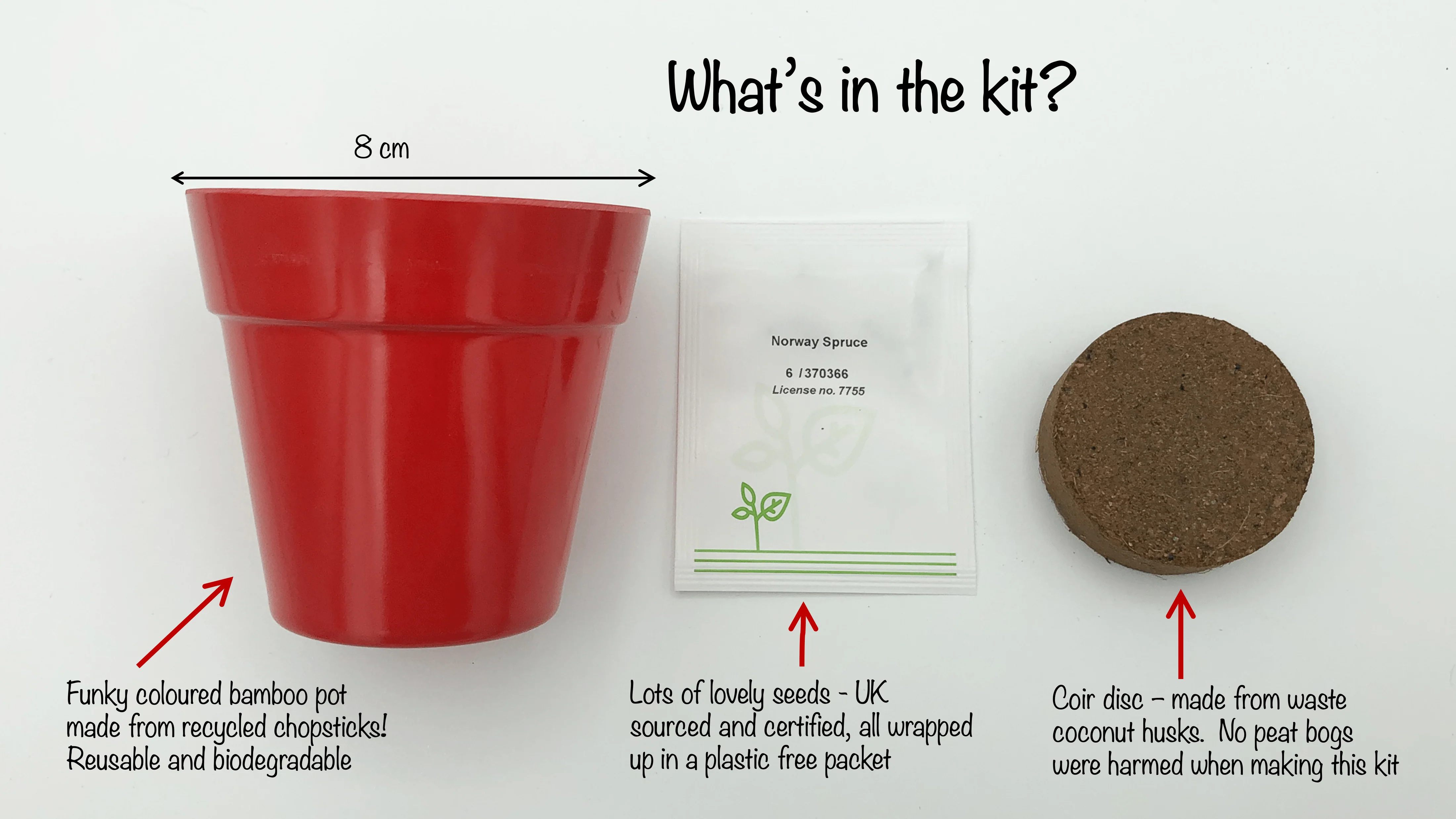 Christmas Tree Growing Kit with Pot - Image 7
