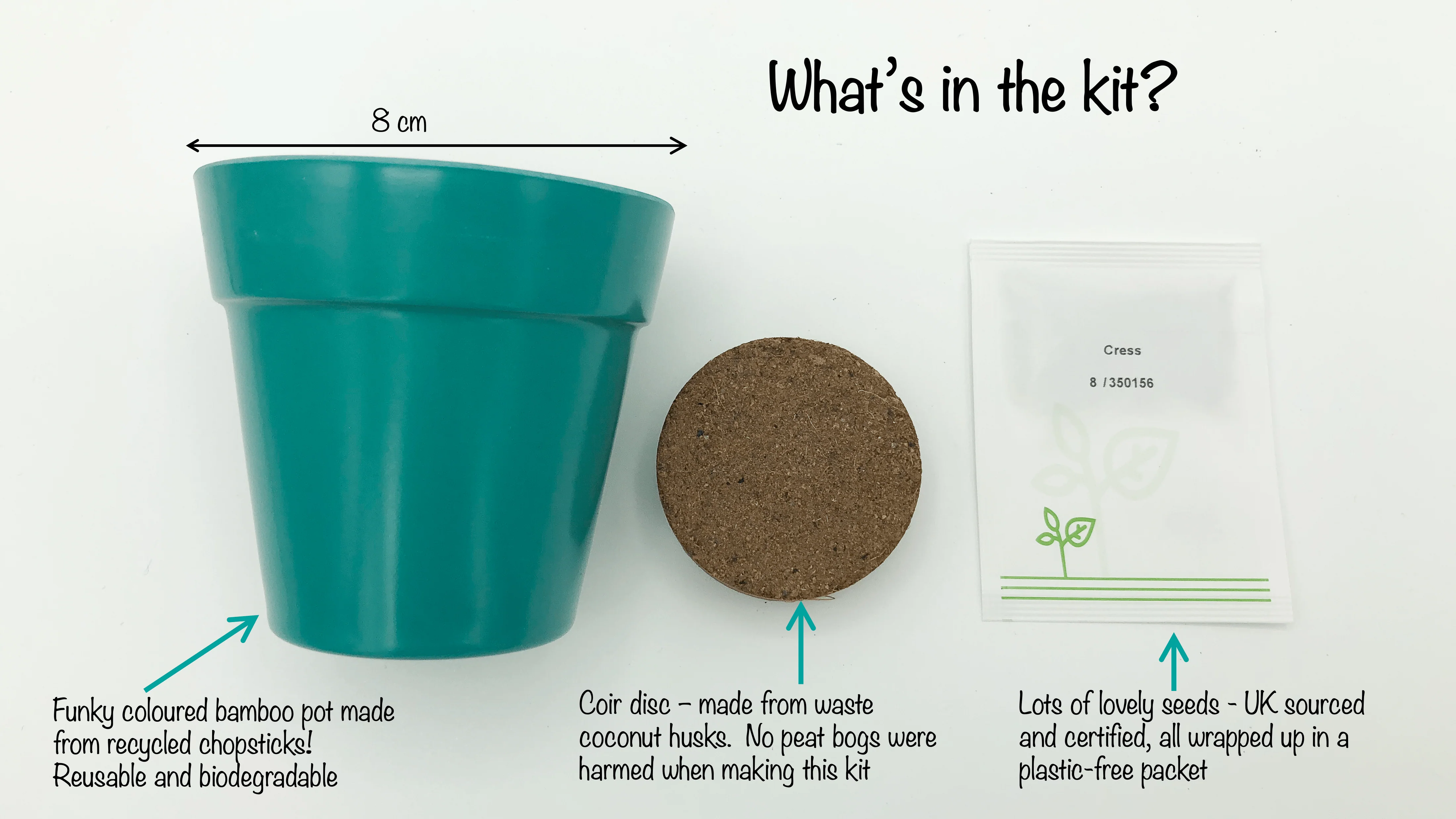 Cress Growing Kit with Pot - Image 4