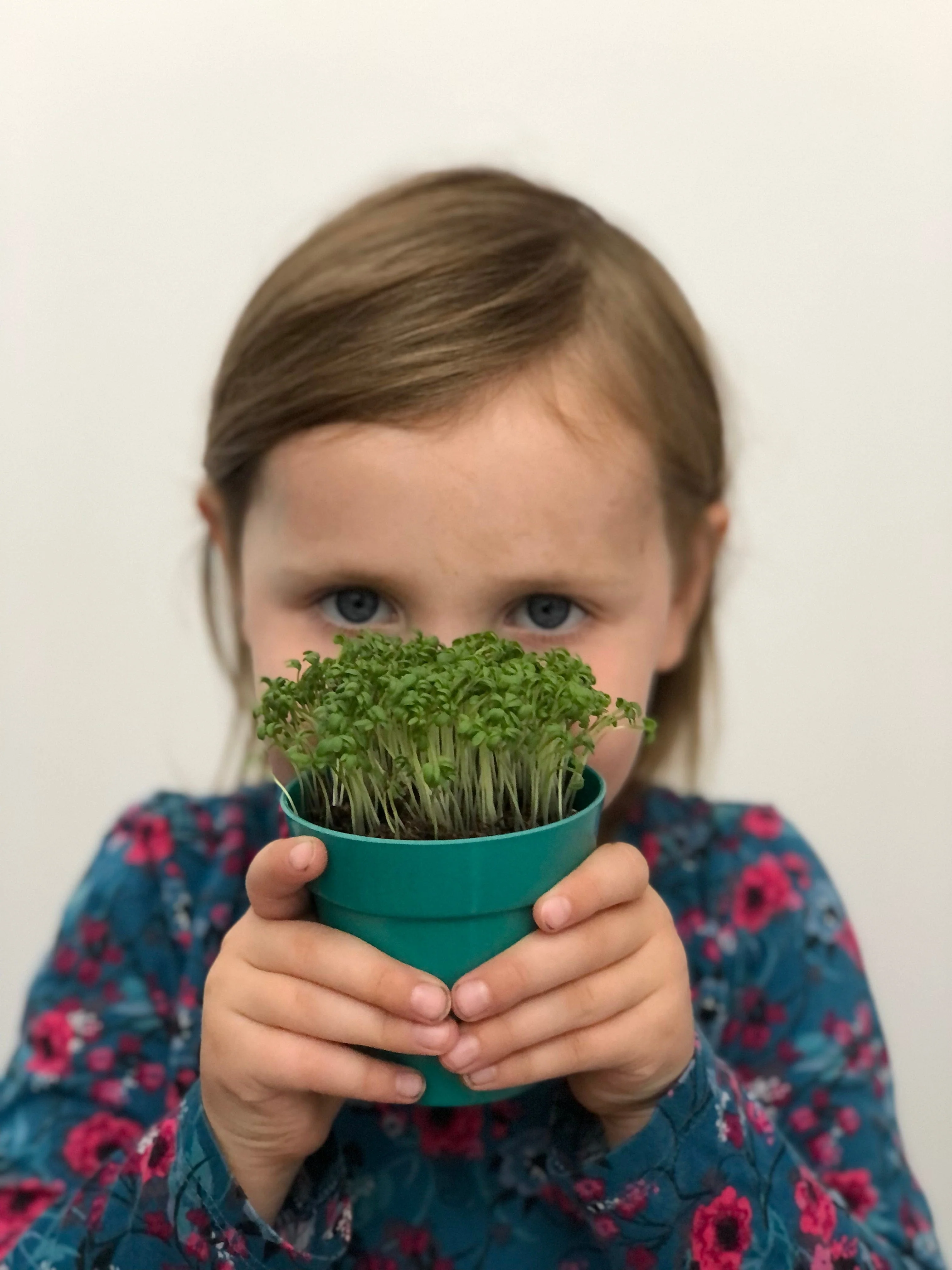 Cress Growing Kit with Pot - Image 6