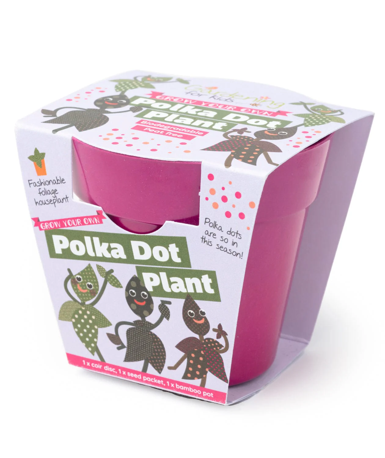 Grow Your Own Polka Dot Plant Complete Growing Kit with Pot - Image 3