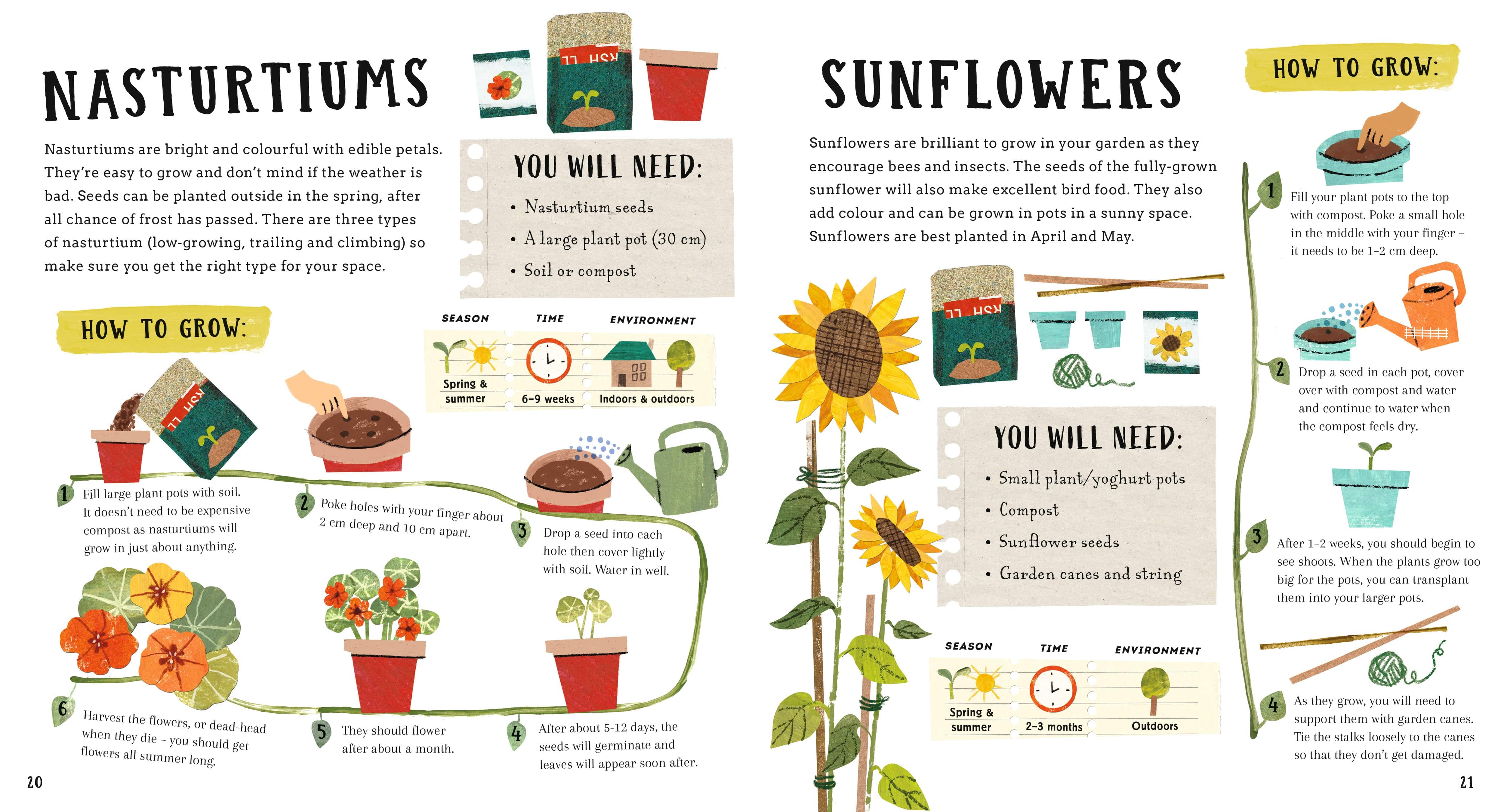 Growing Green -A First Book of Gardening - Image 3