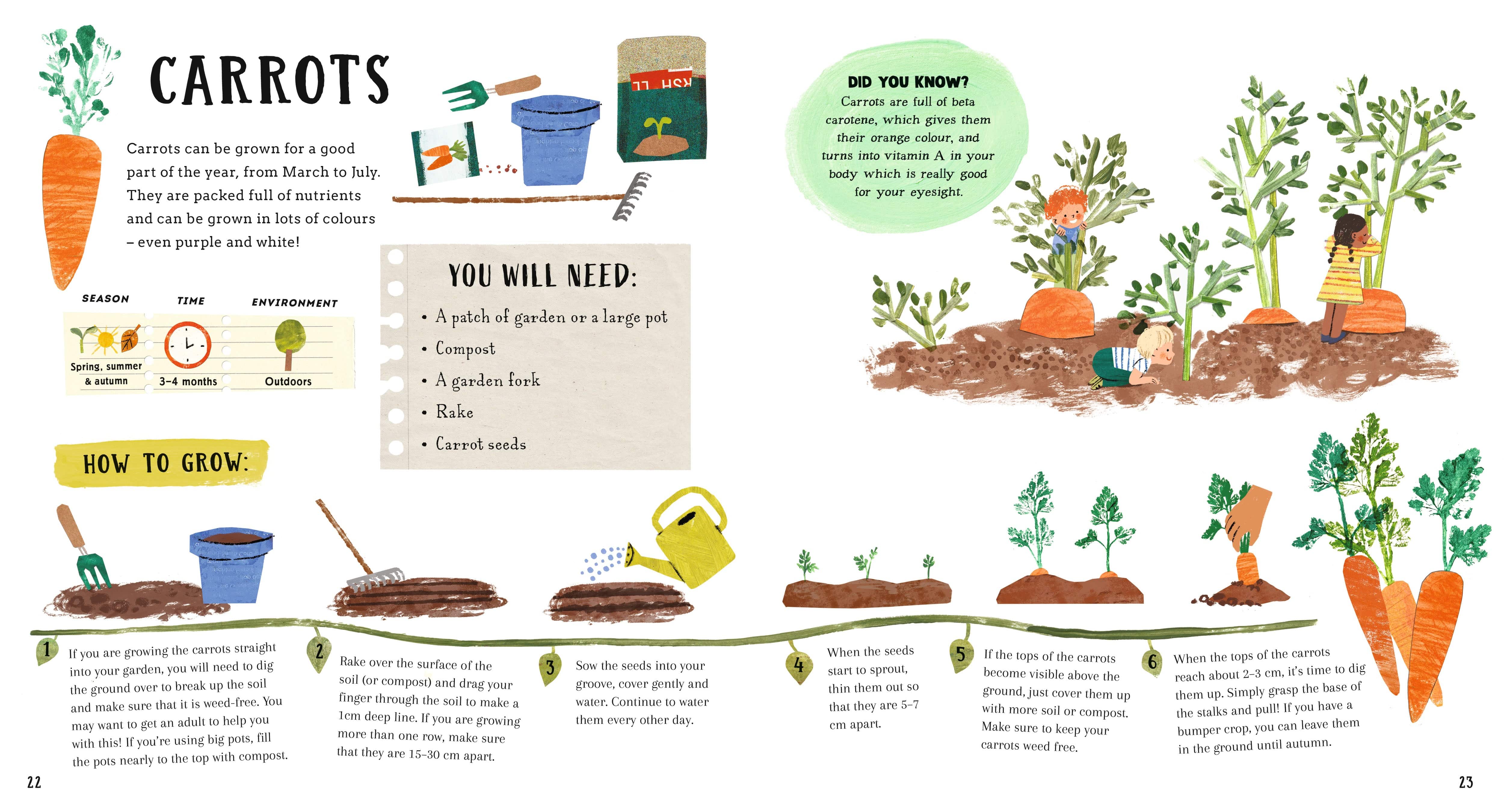 Growing Green -A First Book of Gardening - Image 4