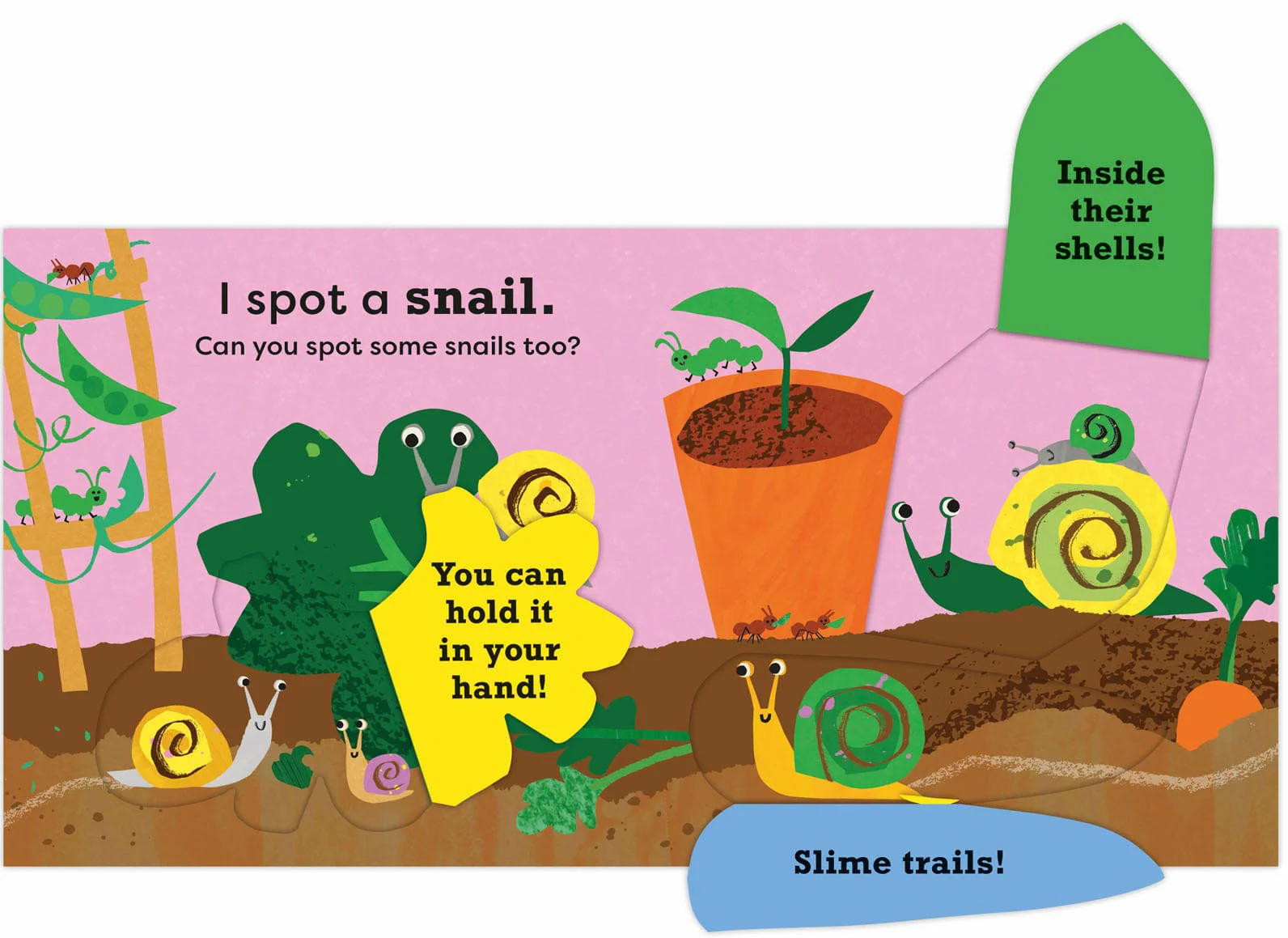 I Spot A Snail Children's Nature book - Image 3