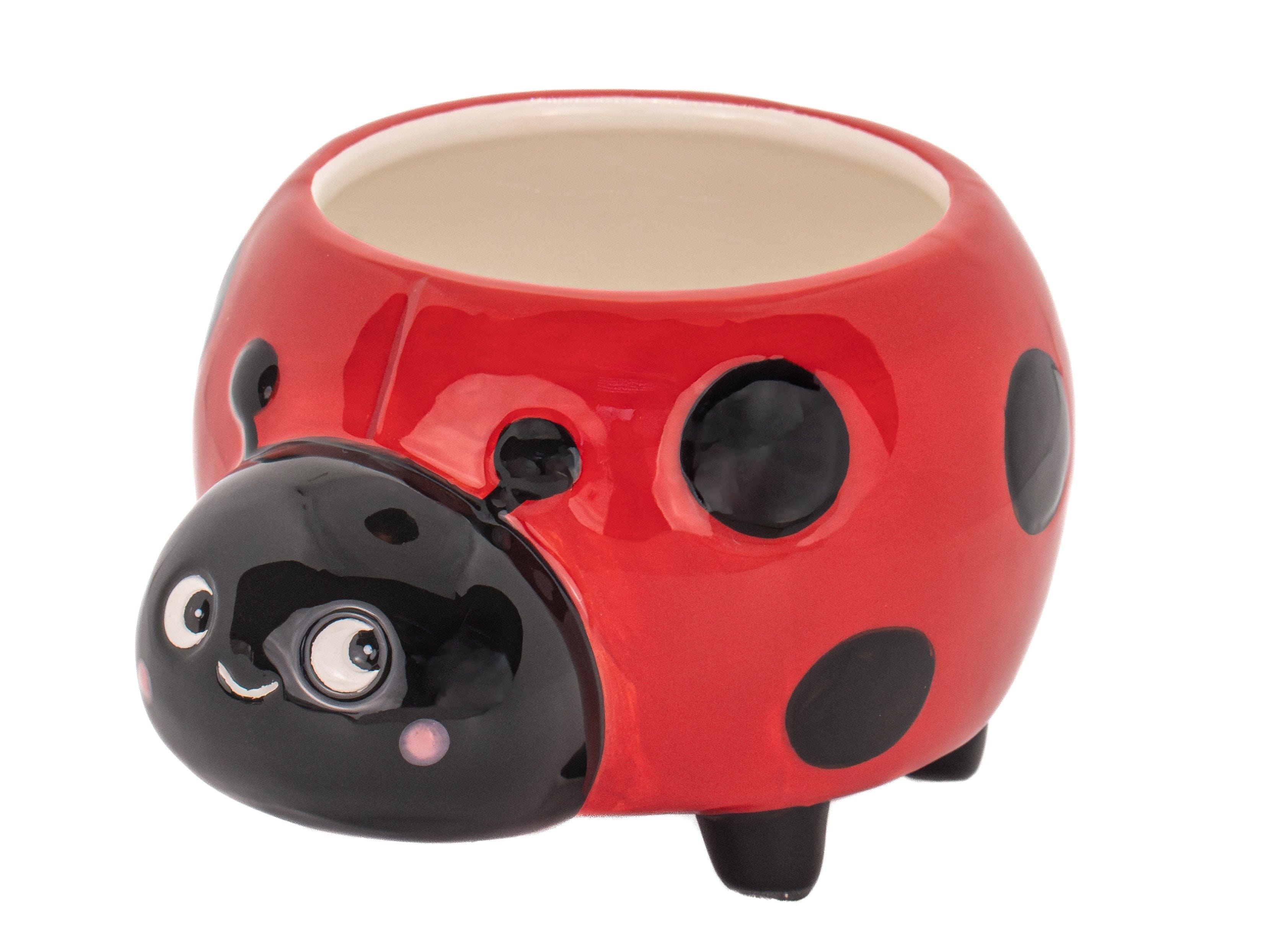 Ladybird Mini Planter - Image 2