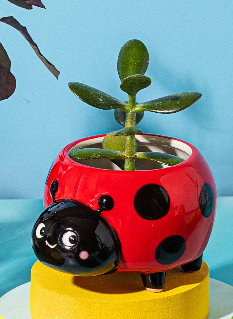 Ladybird Mini Planter - Image 3