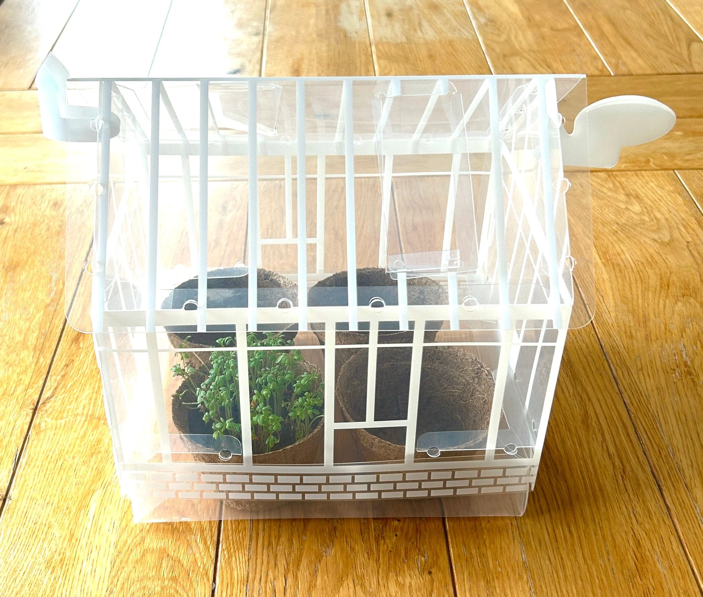My First Mini Greenhouse and Growing Kit - Image 4