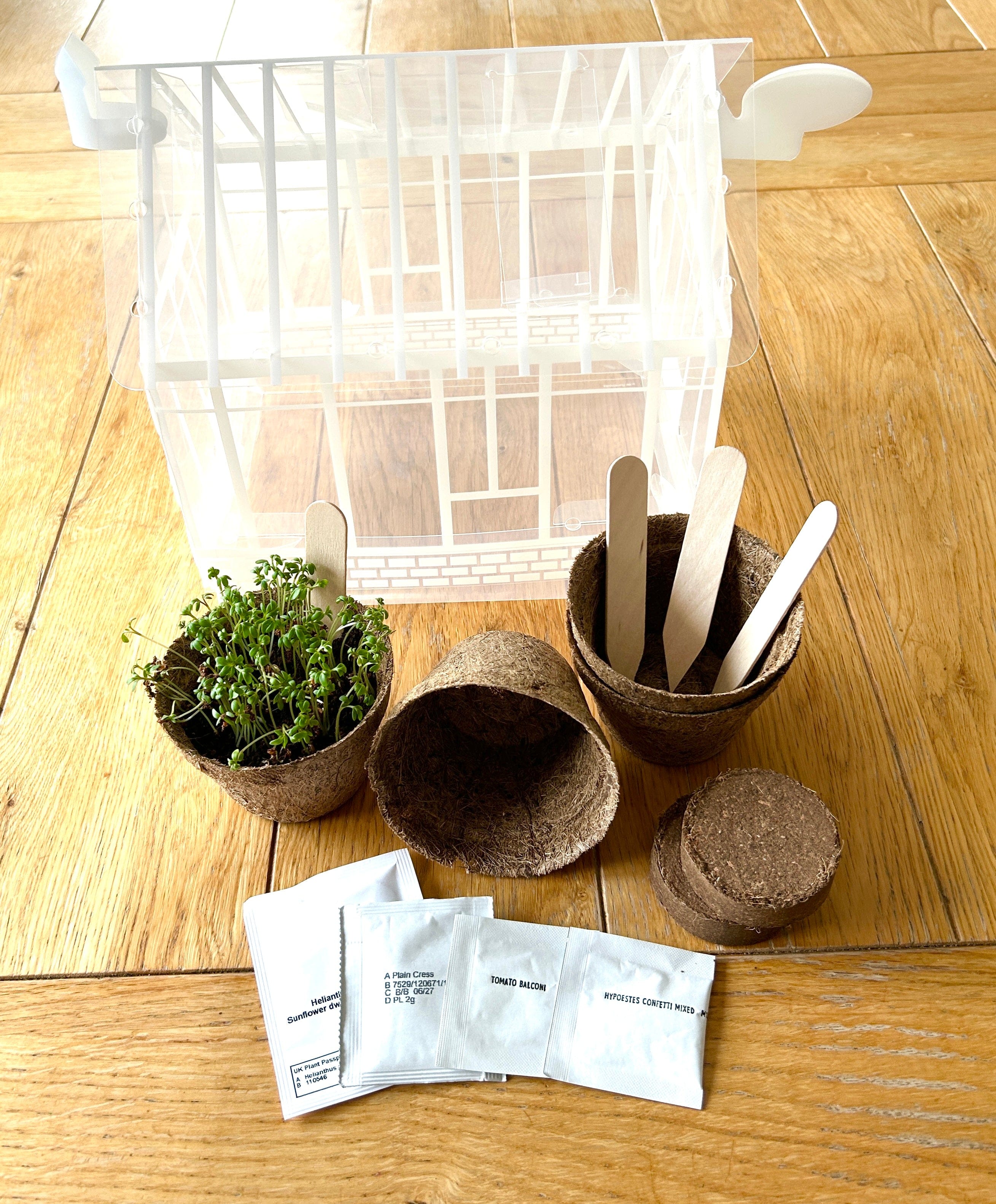 My First Mini Greenhouse and Growing Kit - Image 5