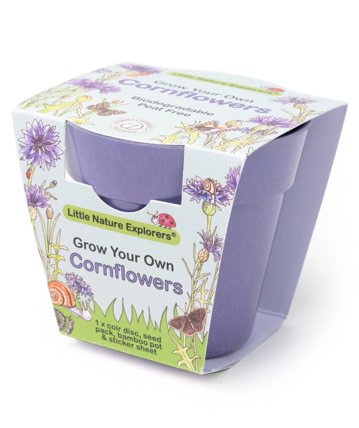Little Nature Explorers Children's Grow Your Own Cornflowers Growing Kit - Image 3