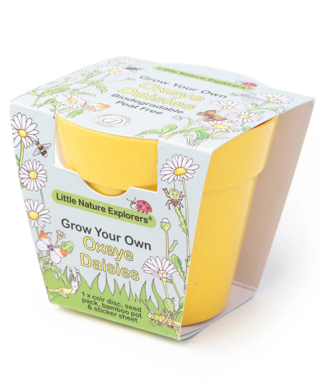 Little Nature Explorers Grow Your Own Oxeye Daisies Growing Kit - Image 3