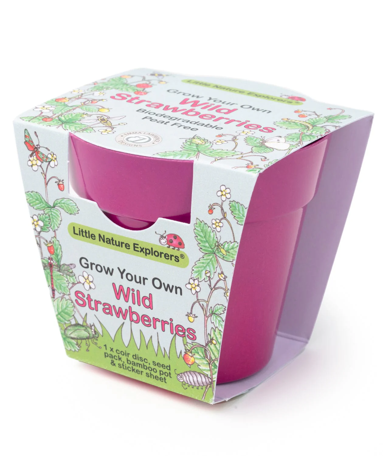 Little Nature Explorers Grow Your Own Wild Strawberries Growing Kit - Image 3