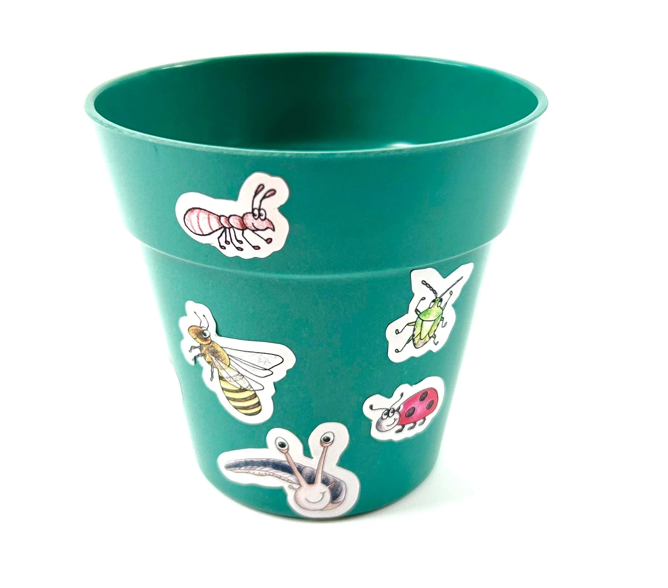 Little Nature Explorers Children's Grow Your Own Cornflowers Growing Kit - Image 6
