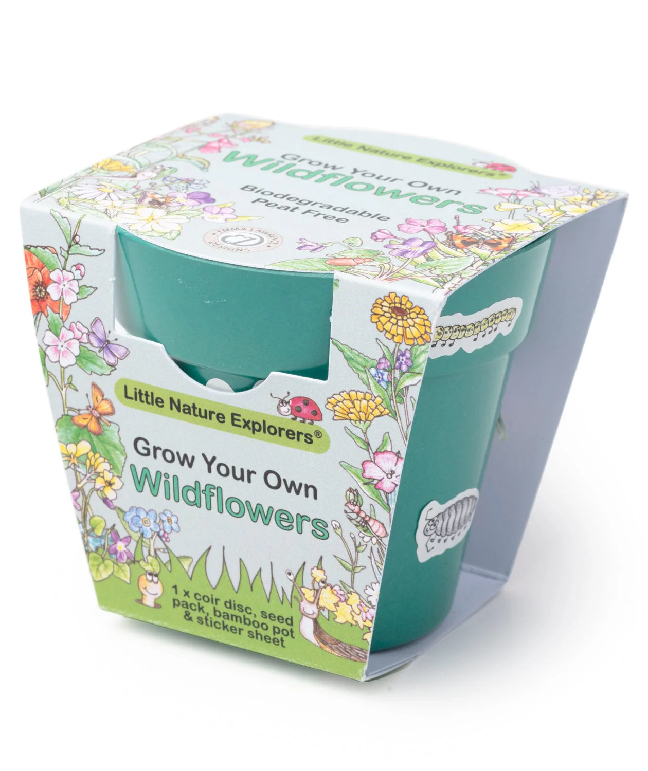 Little Nature Explorers Grow Your Own Wildflower Children's Growing Kit - Image 3