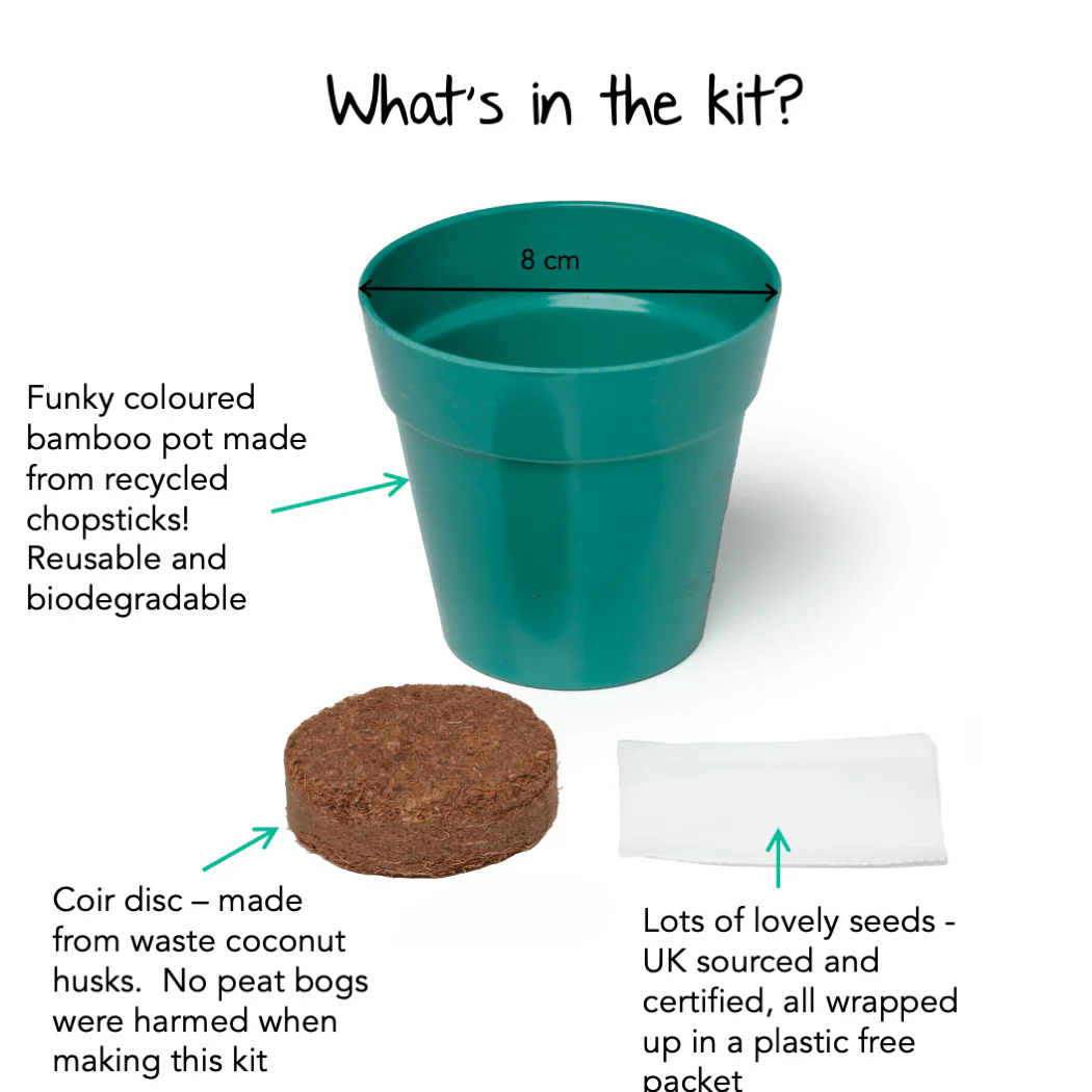 Little Nature Explorers Grow Your Own Wildflower Children's Growing Kit - Image 4