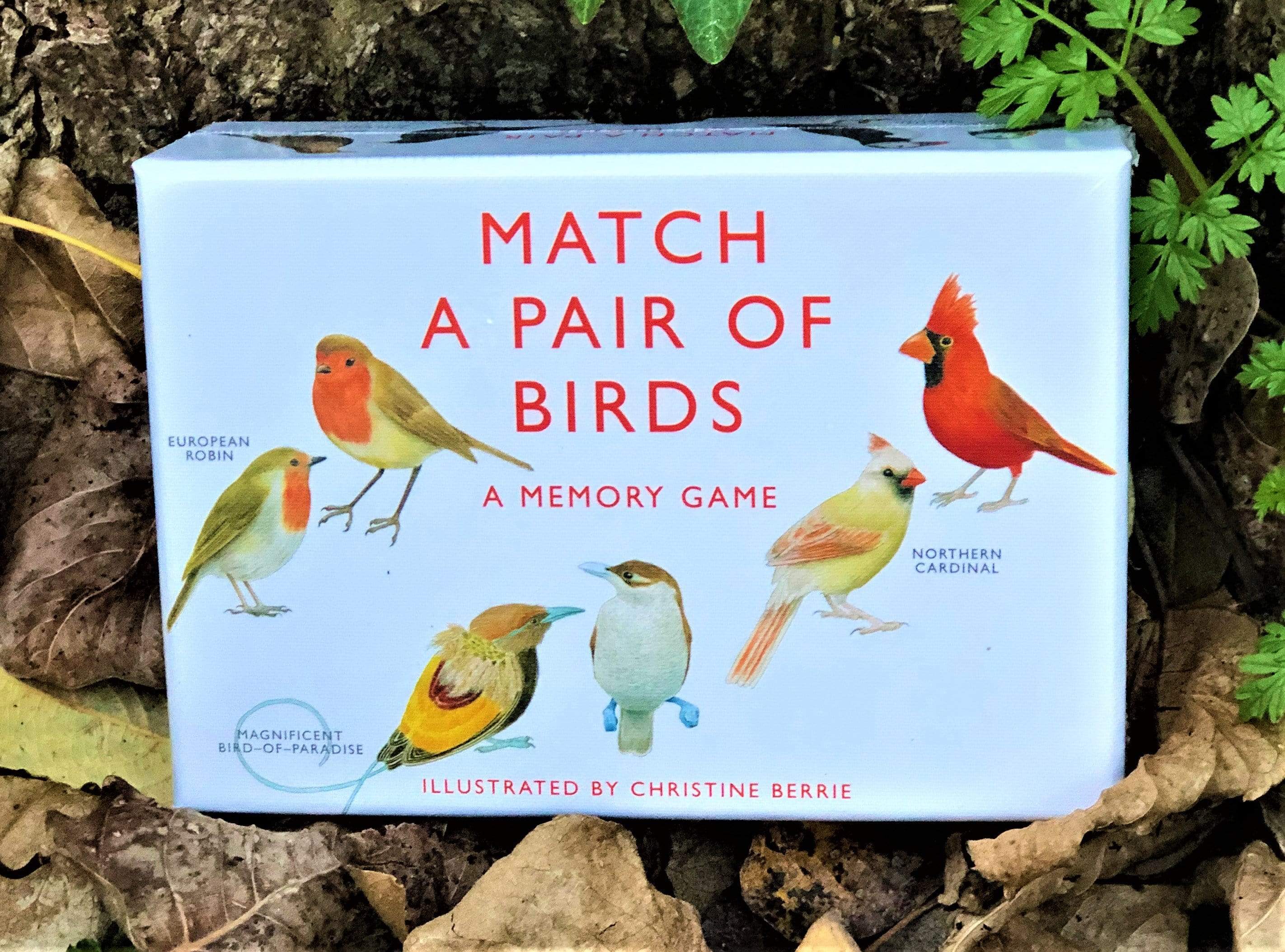 Match a Pair of Birds Game - Image 2