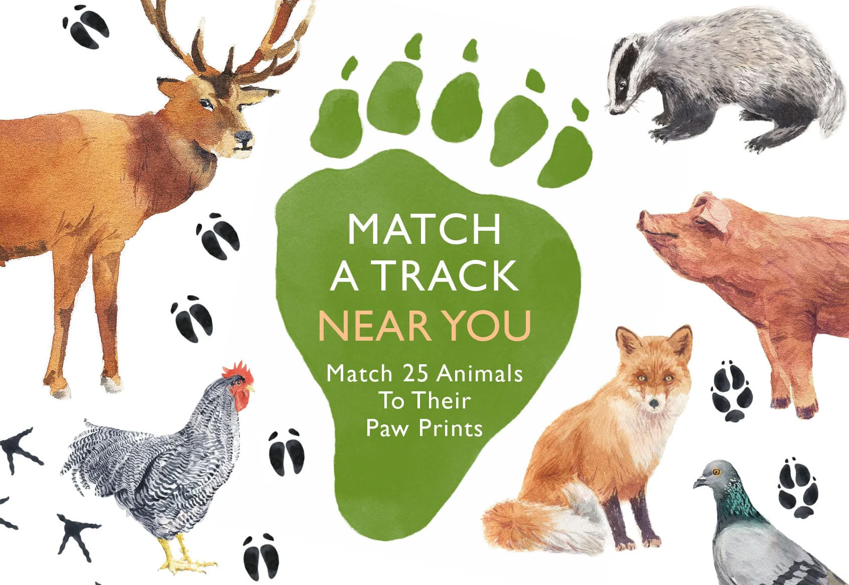 Match a Track Near You Game